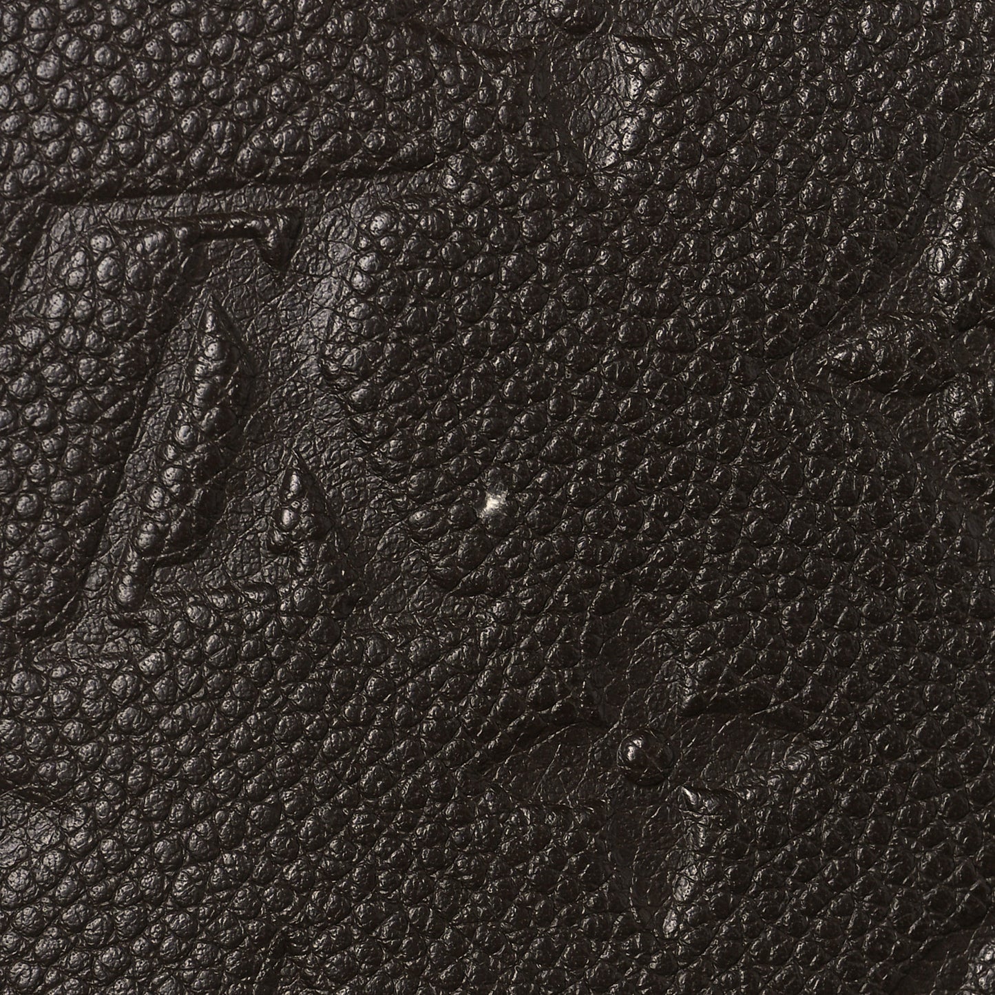 Empreinte Zippy Wallet Terre