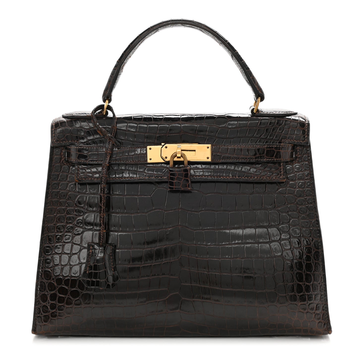 Shiny Porosus Crocodile Kelly Sellier 28