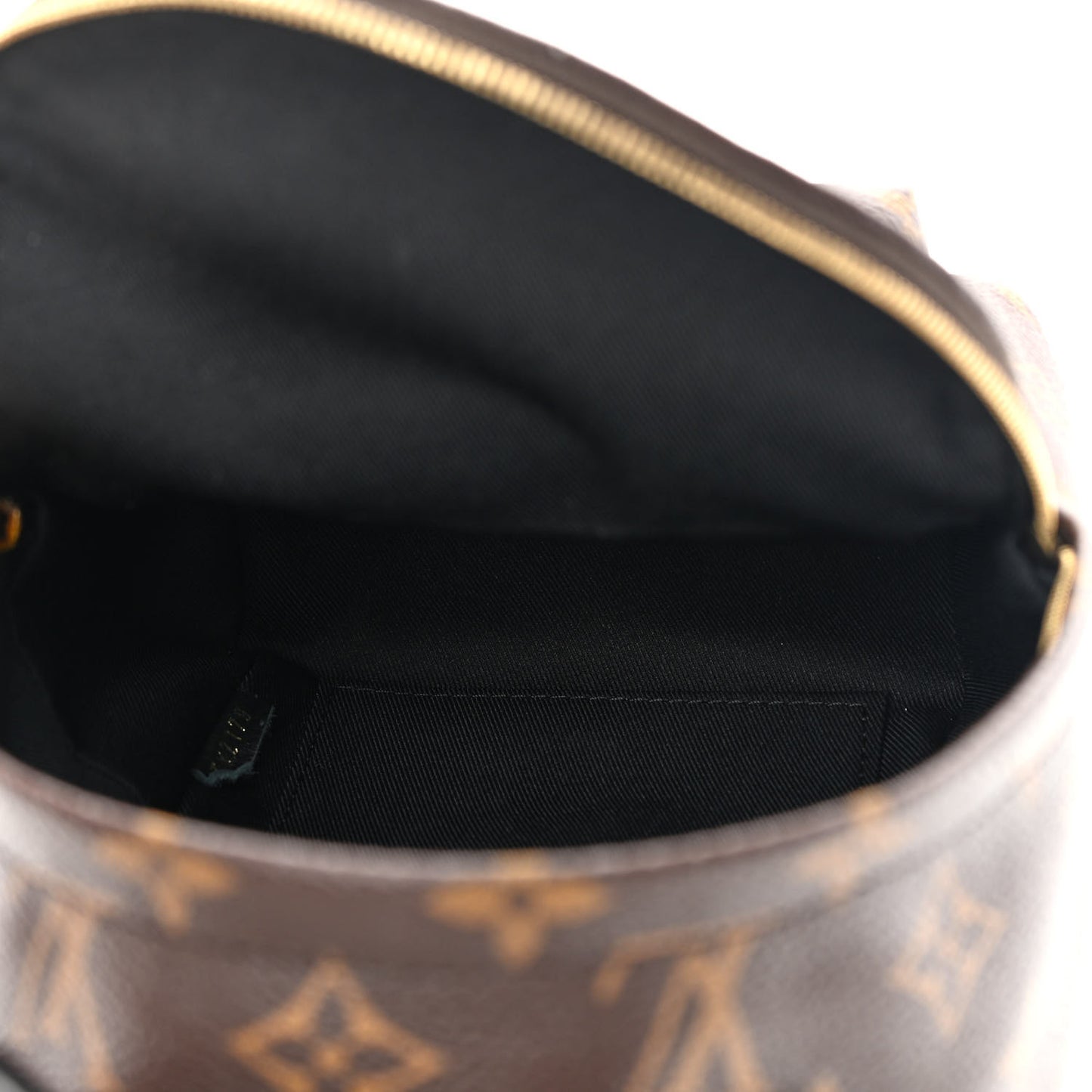 Monogram Palm Springs Backpack Mini
