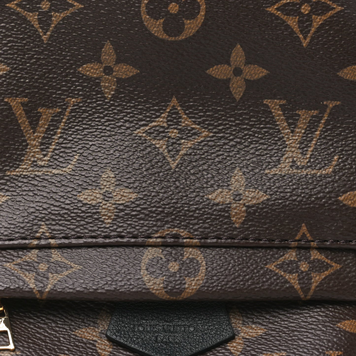 Monogram Palm Springs Backpack Mini