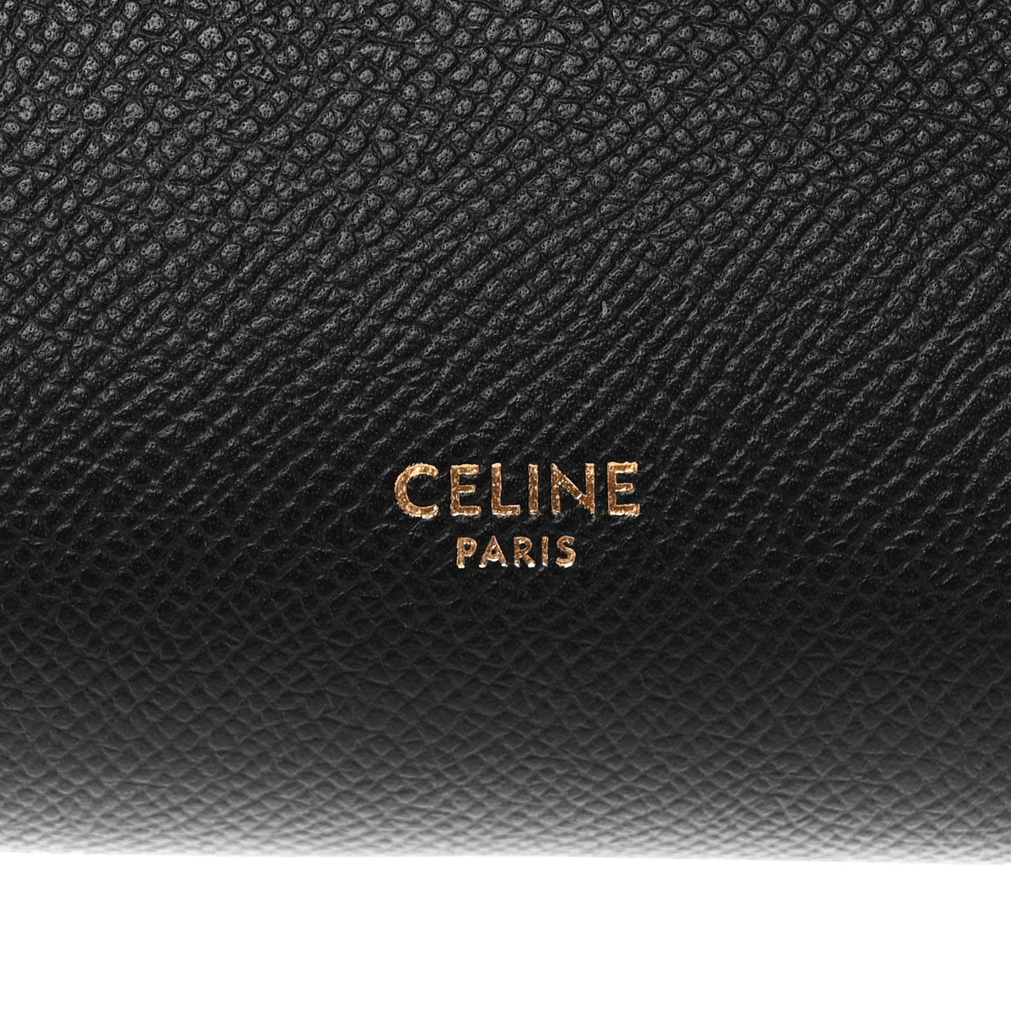 Grained Calfskin Pico Belt Bag Black