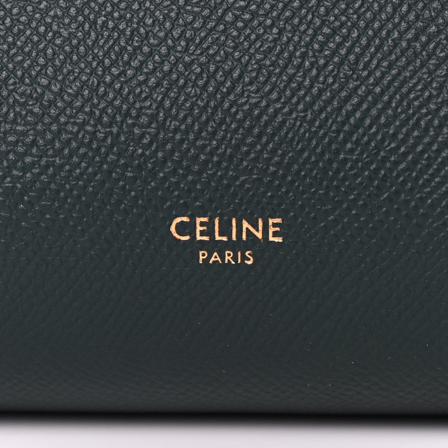 Grained Calfskin Nano Belt Bag Amazone