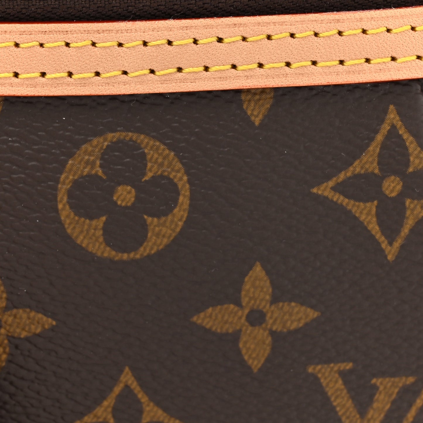 Monogram High Rise Bumbag