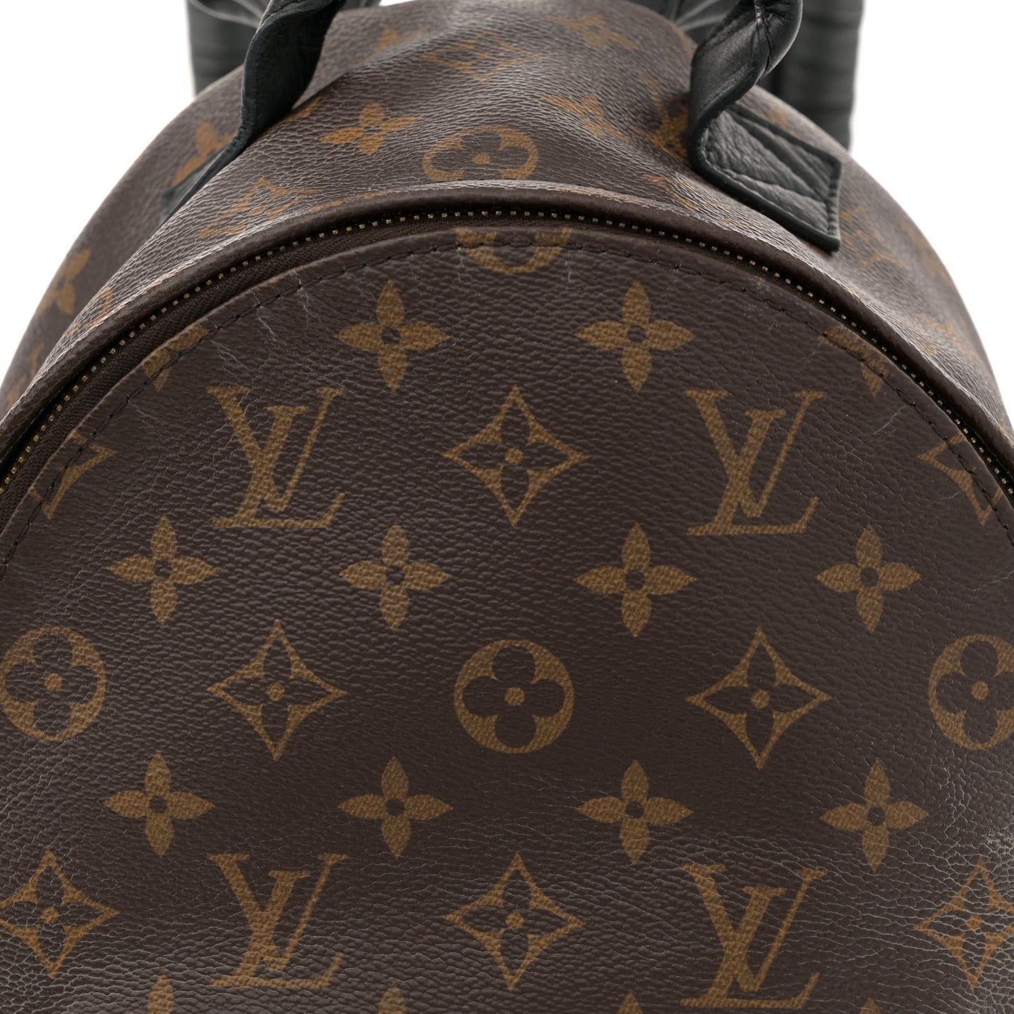 Monogram Palm Springs Backpack PM