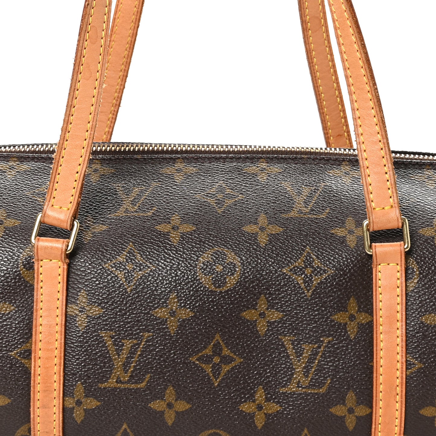 Monogram Papillon 30 with Companion