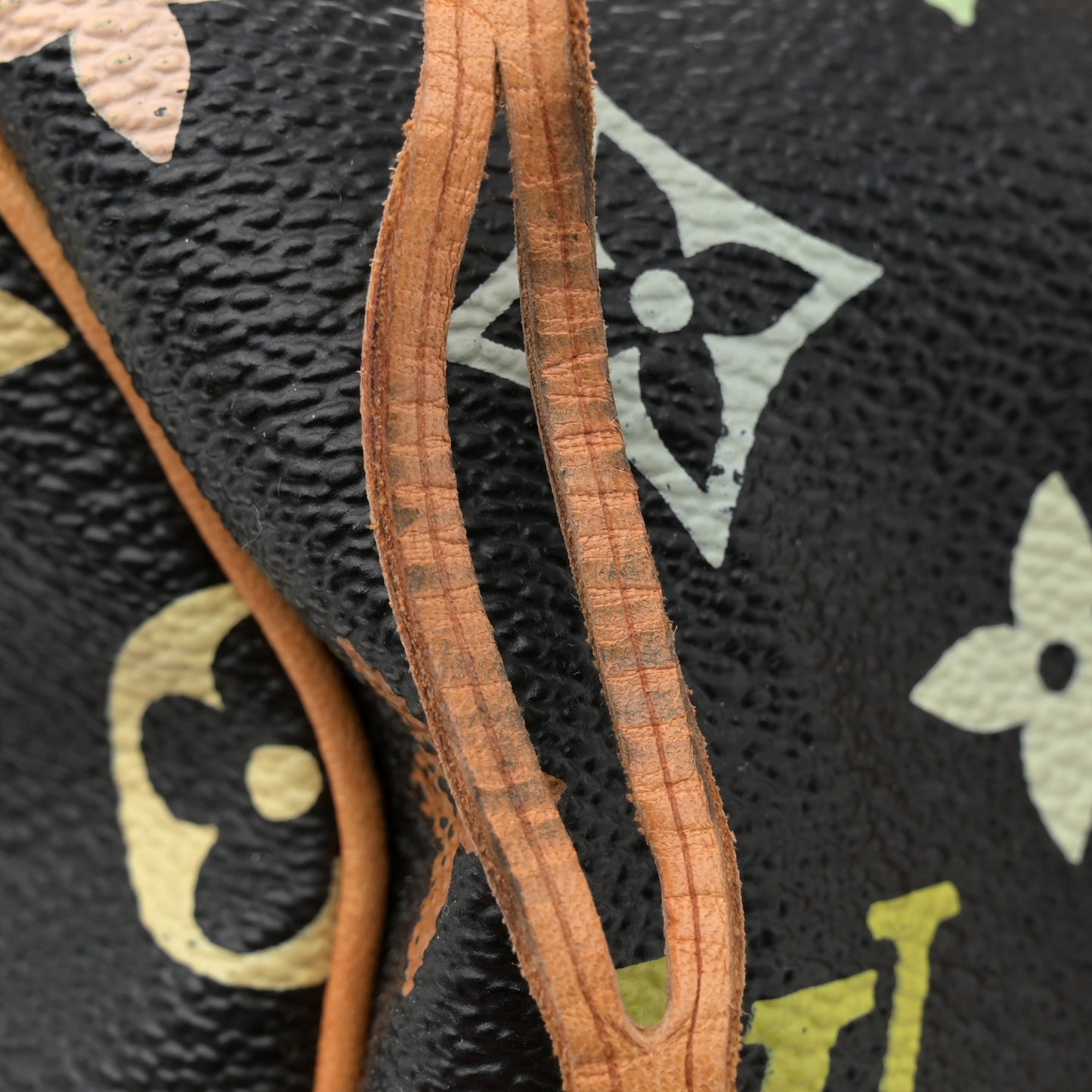 Monogram Multicolor Speedy 30 Black