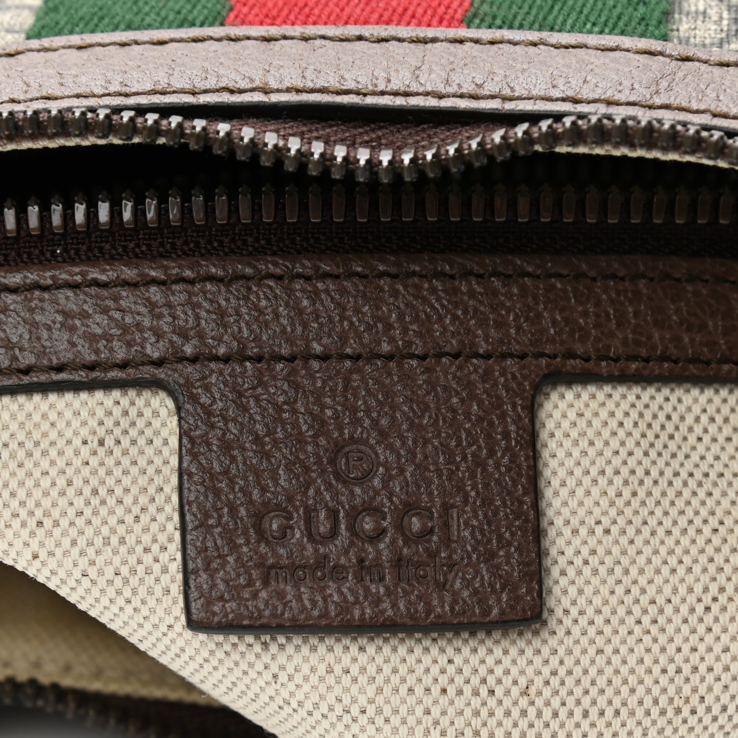 GG Supreme Monogram Web Small Ophidia Half Moon Hobo Brown