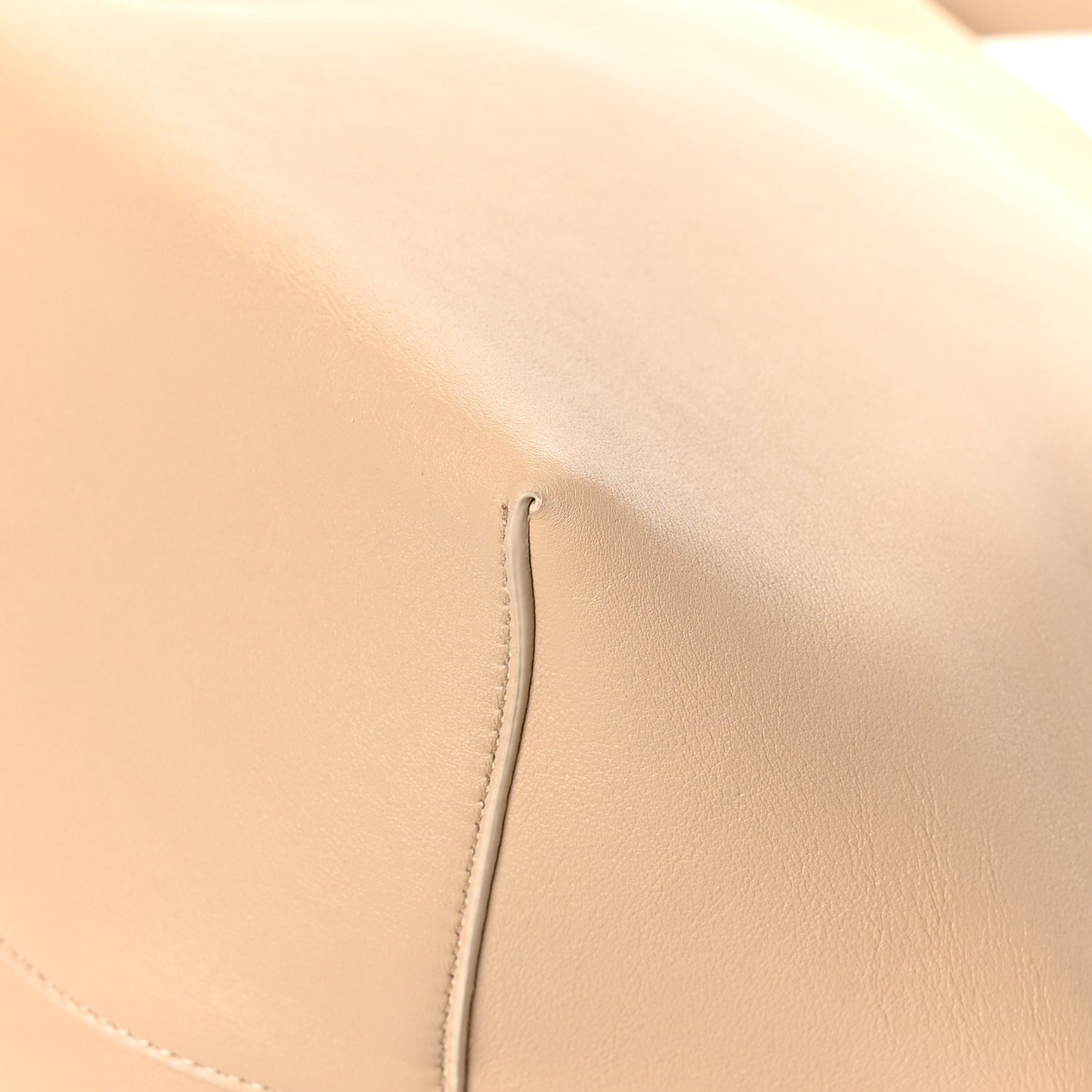 Grained Calfskin Large N/S Park Tote Dune