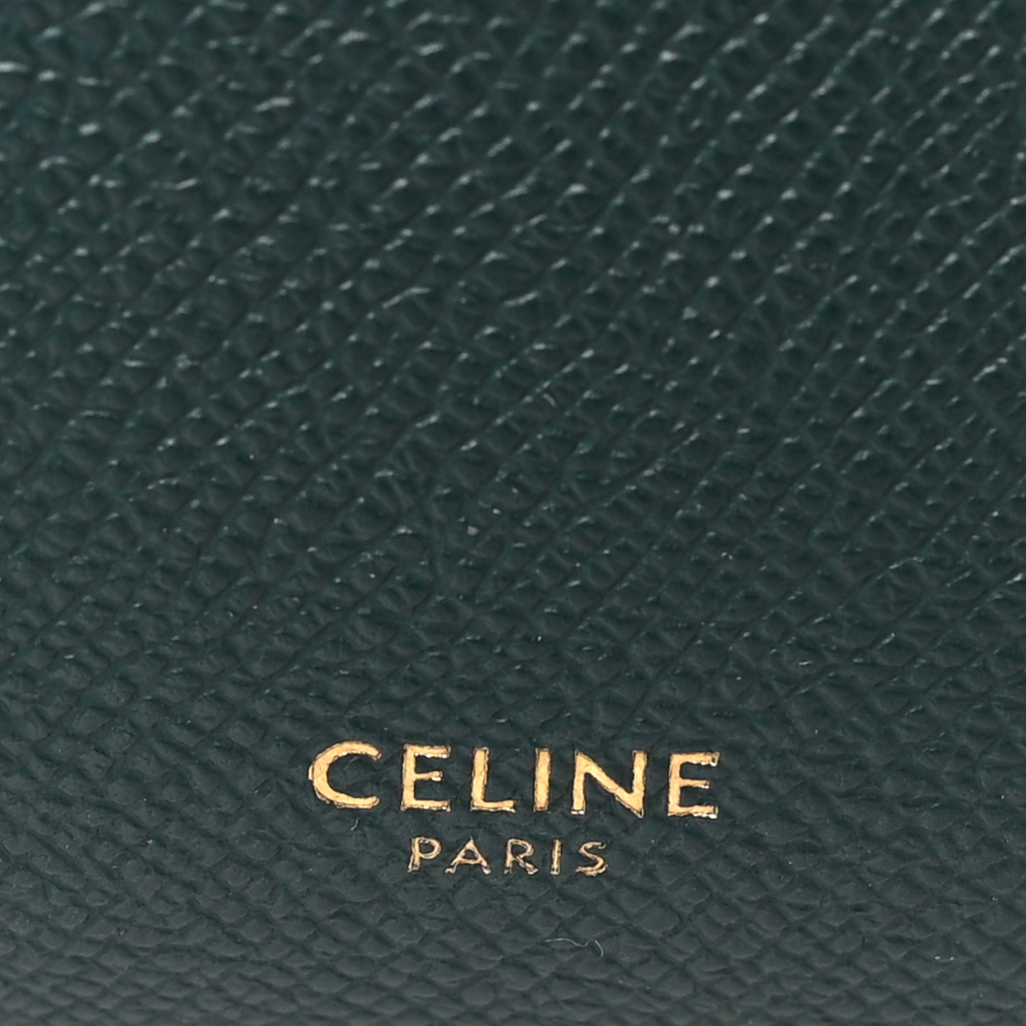 Grained Calfskin Nano Belt Bag Amazone