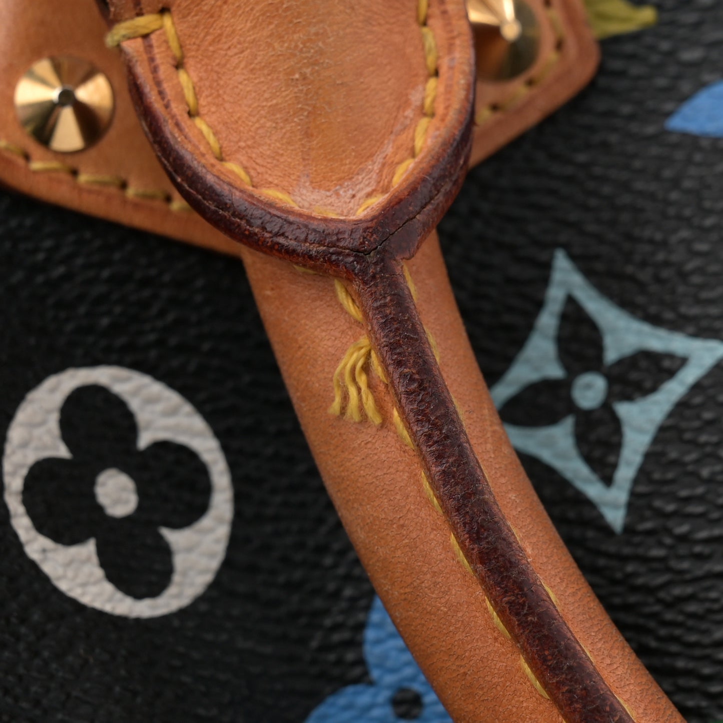 Monogram Multicolor Speedy 30 Black