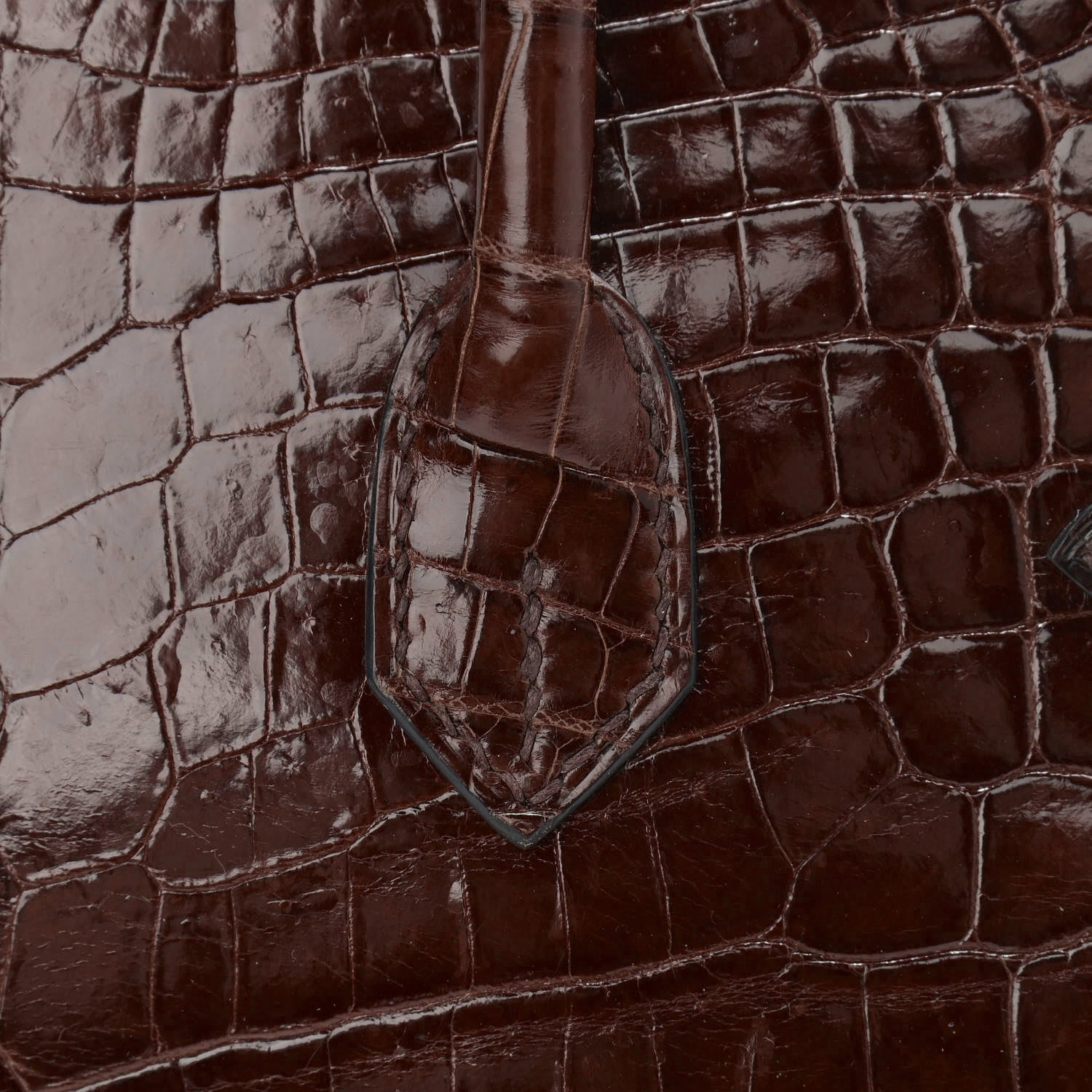 Hermes Shiny Niloticus Crocodile Birkin 25 Miel 8 of 41