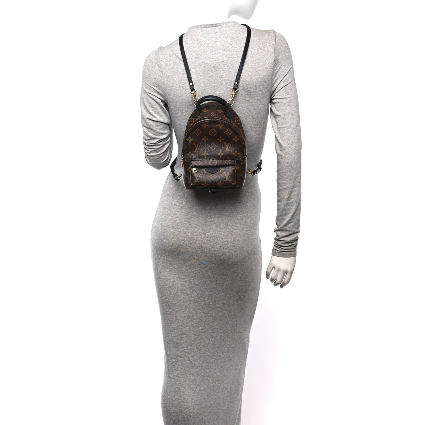 Monogram Palm Springs Backpack Mini