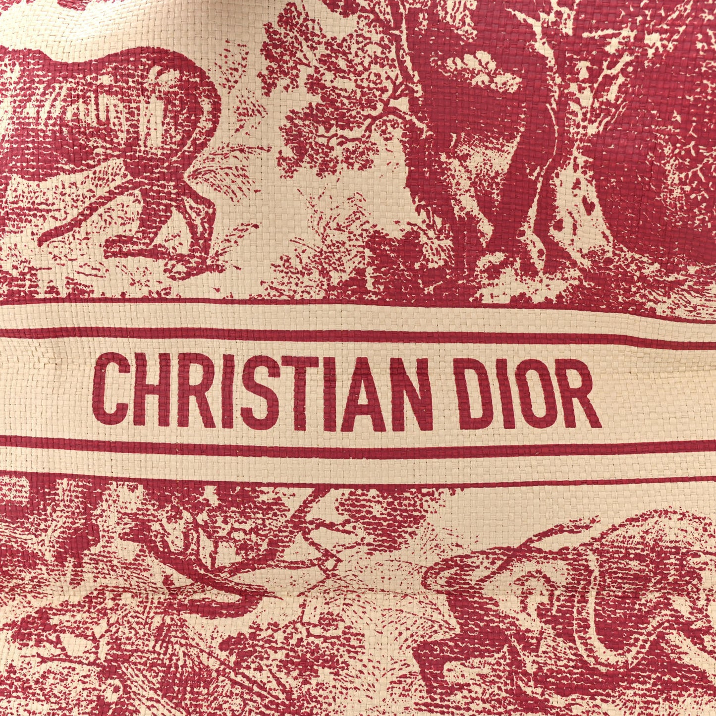 CHRISTIAN DIOR Straw Dioriviera Tote Red