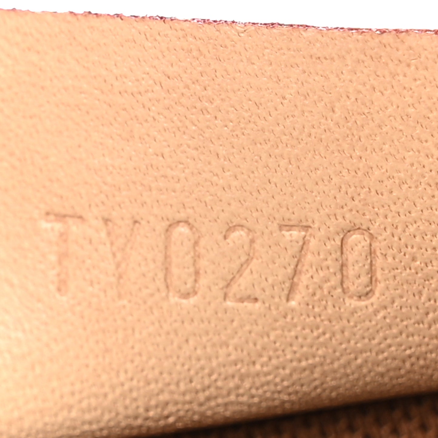 Monogram Nano Speedy