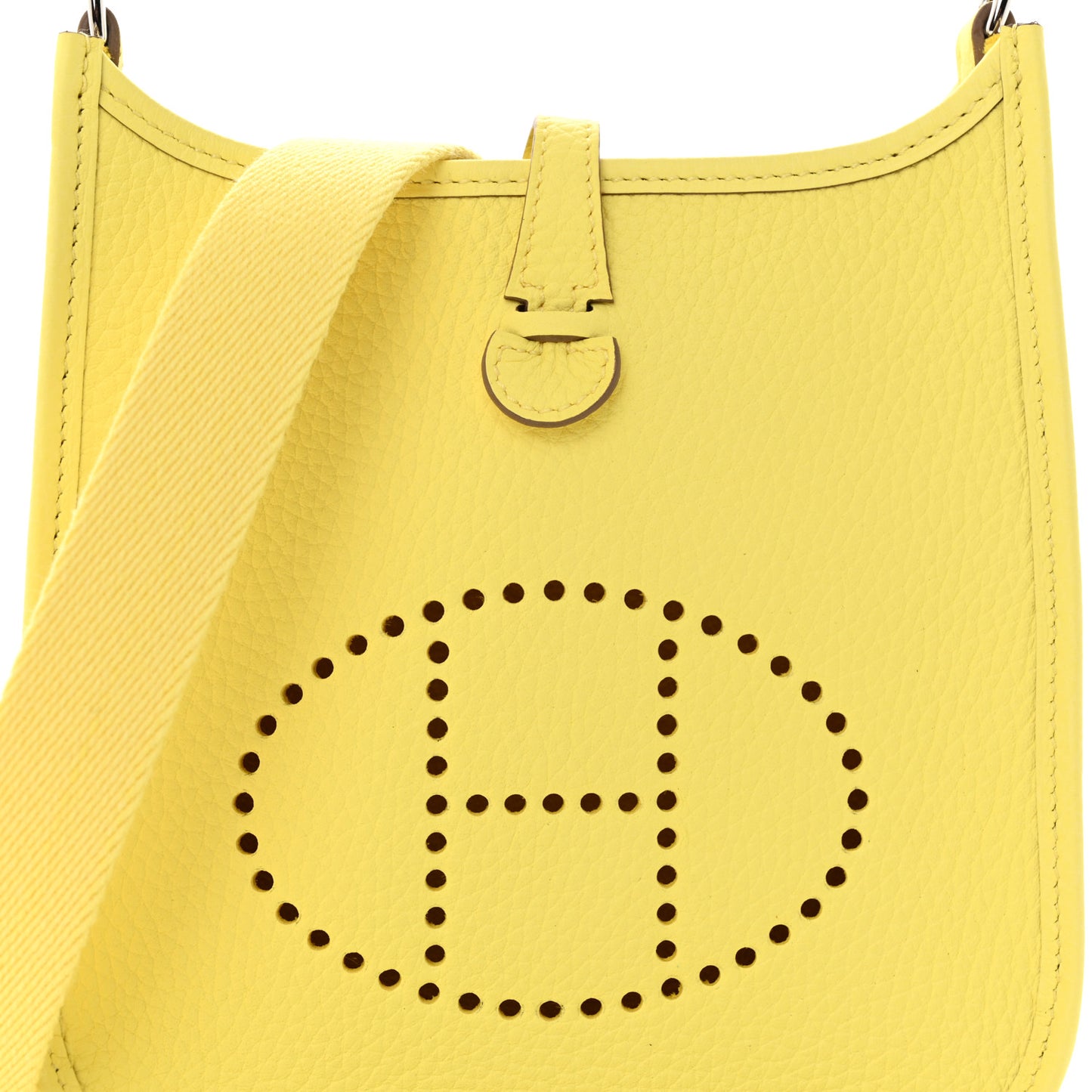 Taurillon Clemence Evelyne TPM Limoncello