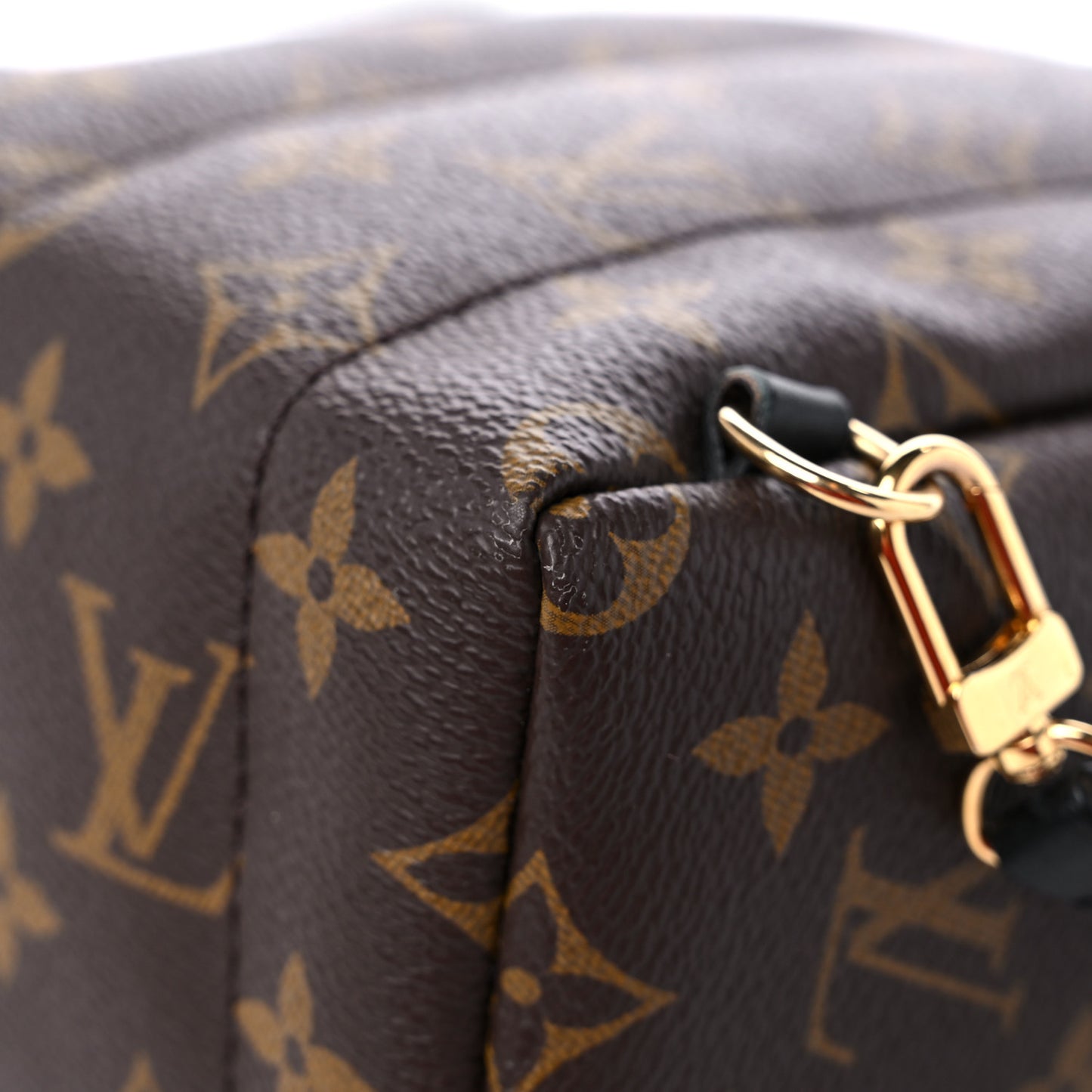 Monogram Palm Springs Backpack Mini