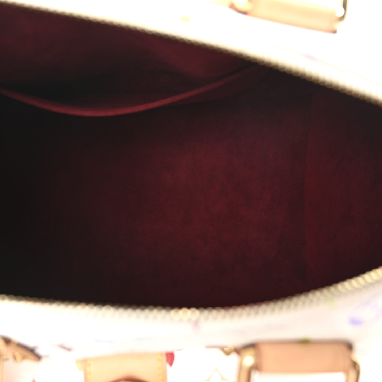 Monogram Multicolor Speedy 30 White