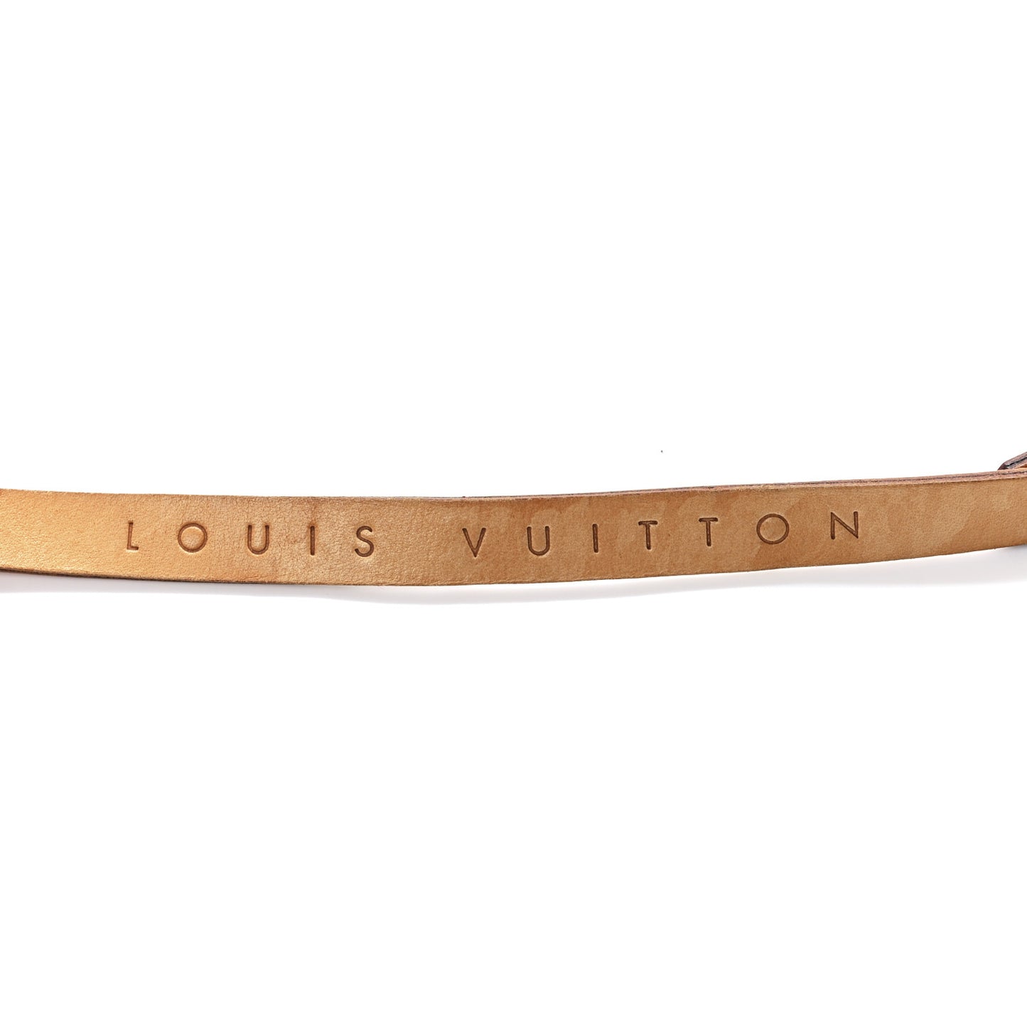 Monogram Pochette Florentine M