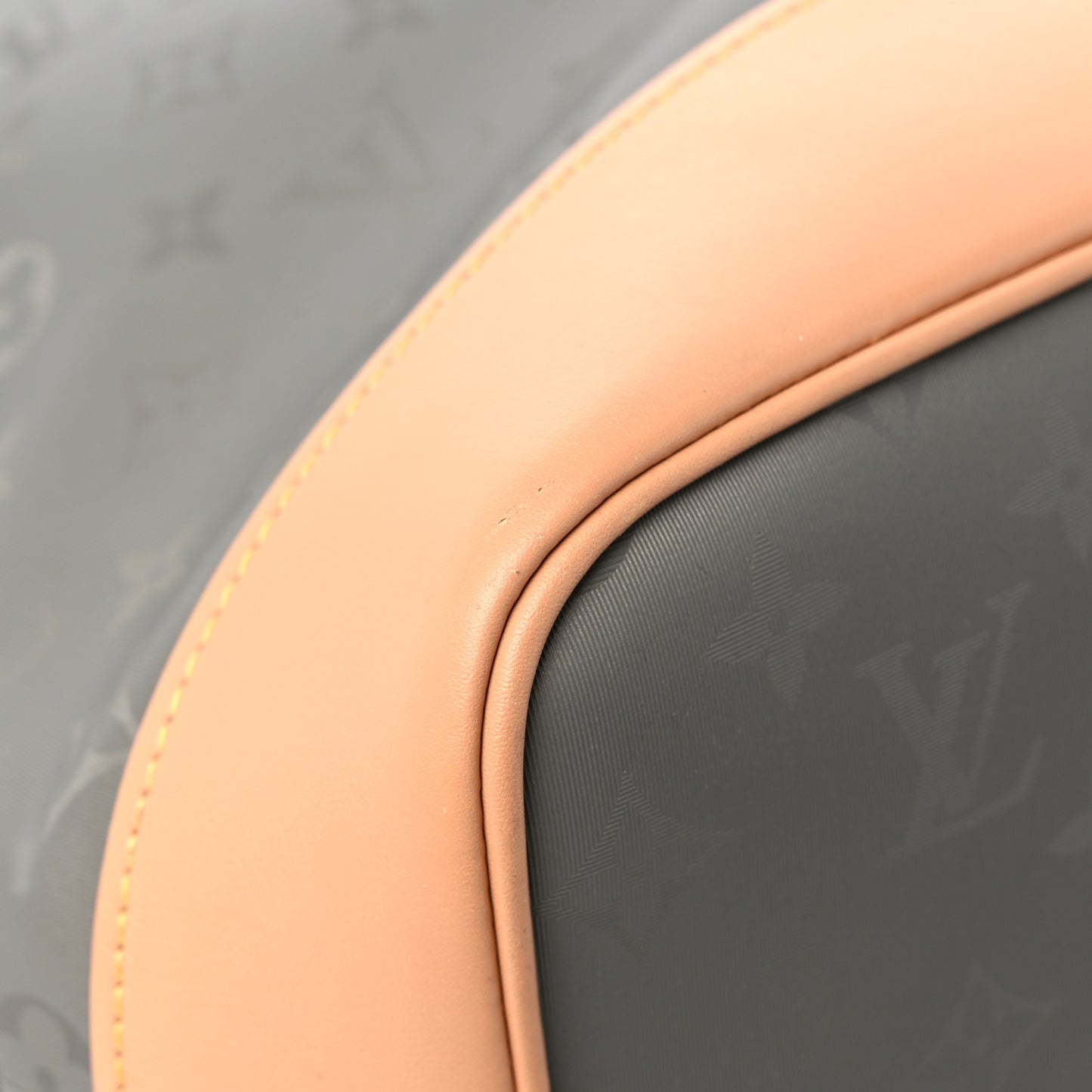 Monogram Titanium Backpack Tote