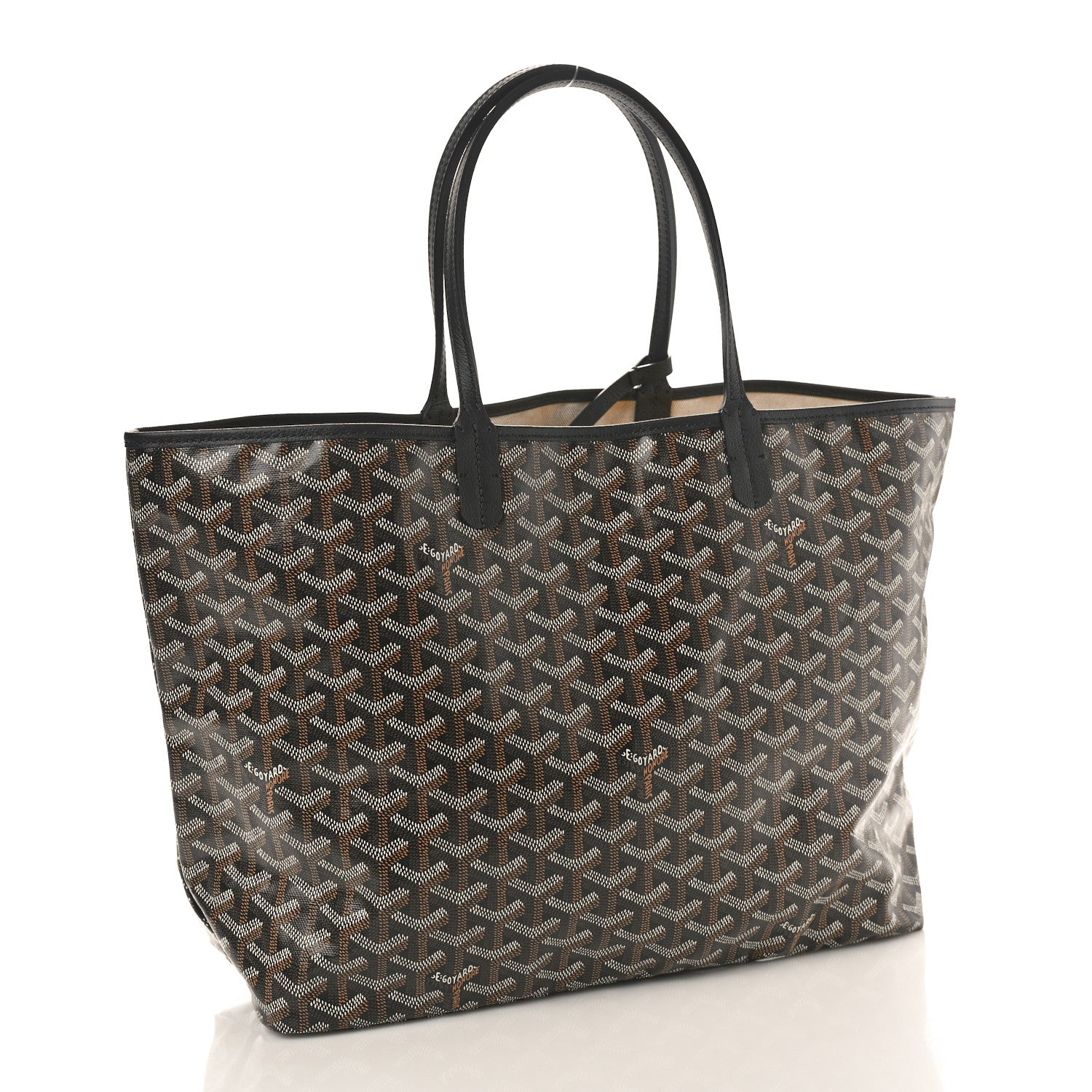 Goyard Goyardine Saint Louis PM Black 4 of 10