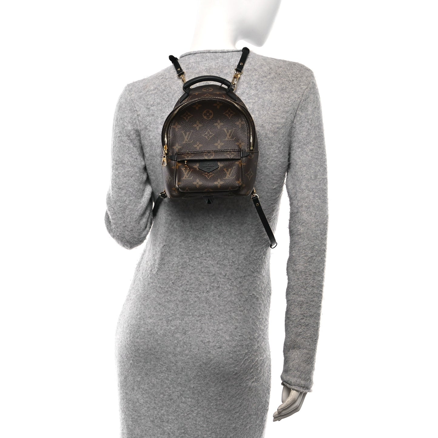 Monogram Palm Springs Backpack Mini