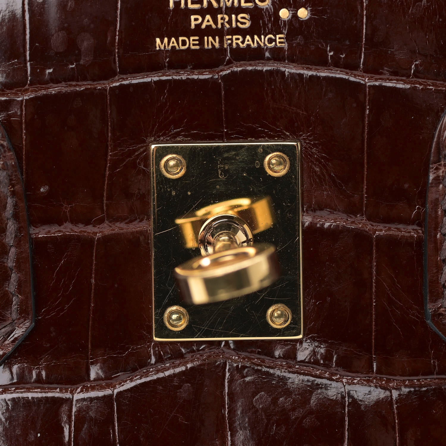 Hermes Shiny Niloticus Crocodile Birkin 25 Miel 23 of 41