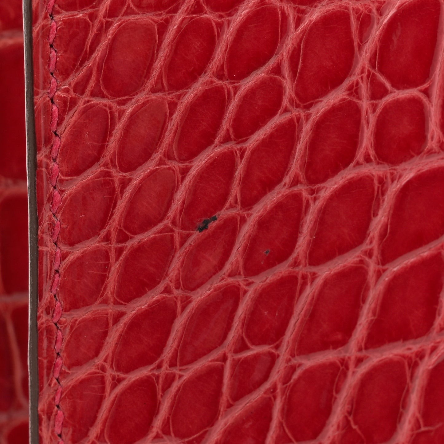 Shiny Alligator Constance 24 Braise