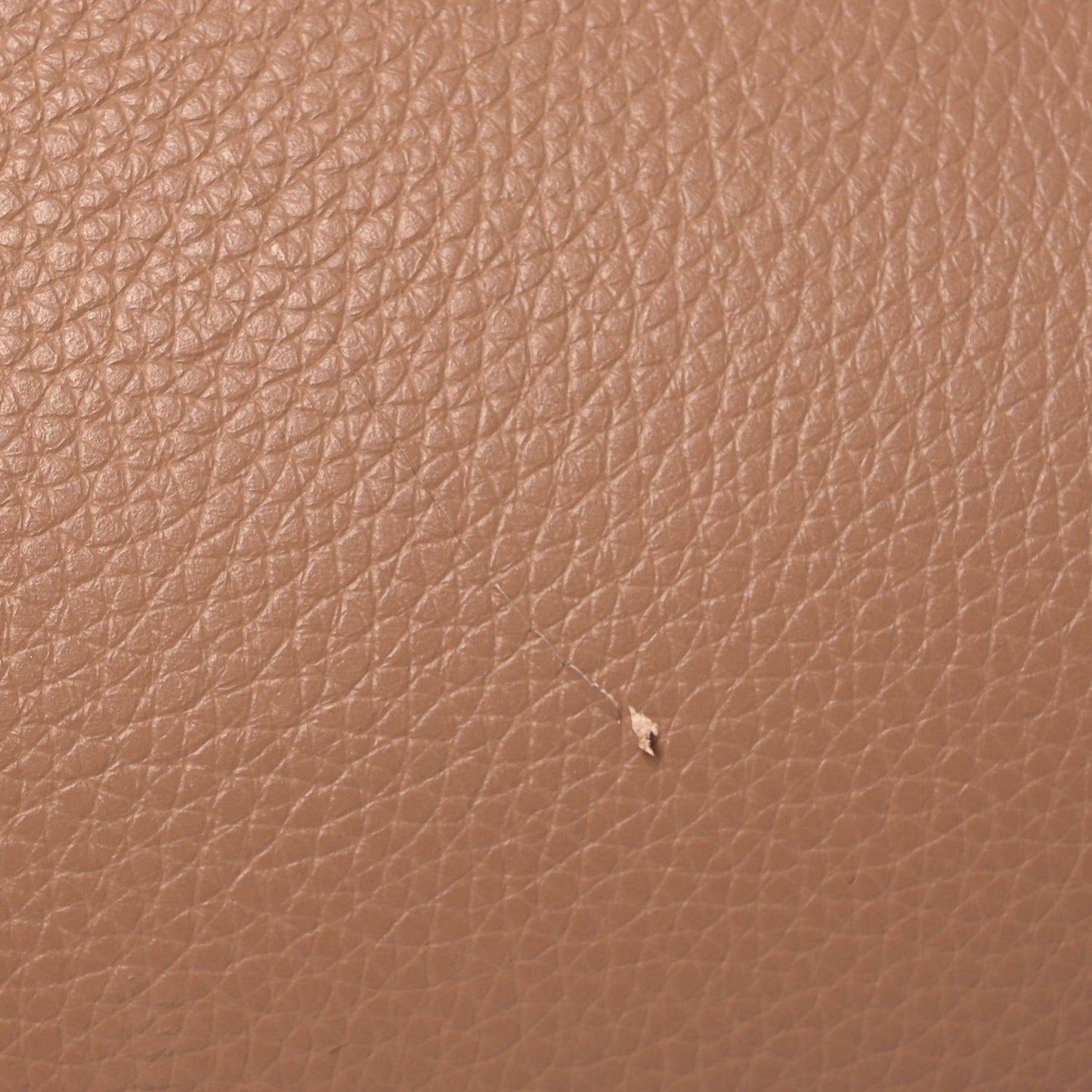 Calfskin Spikes East West Cabata Tote Nude