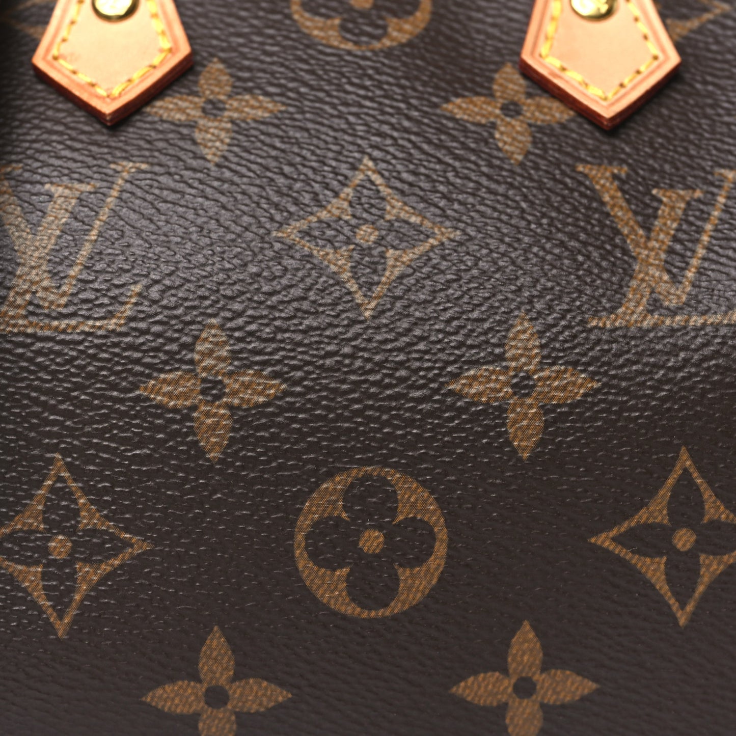 Monogram Nano Speedy