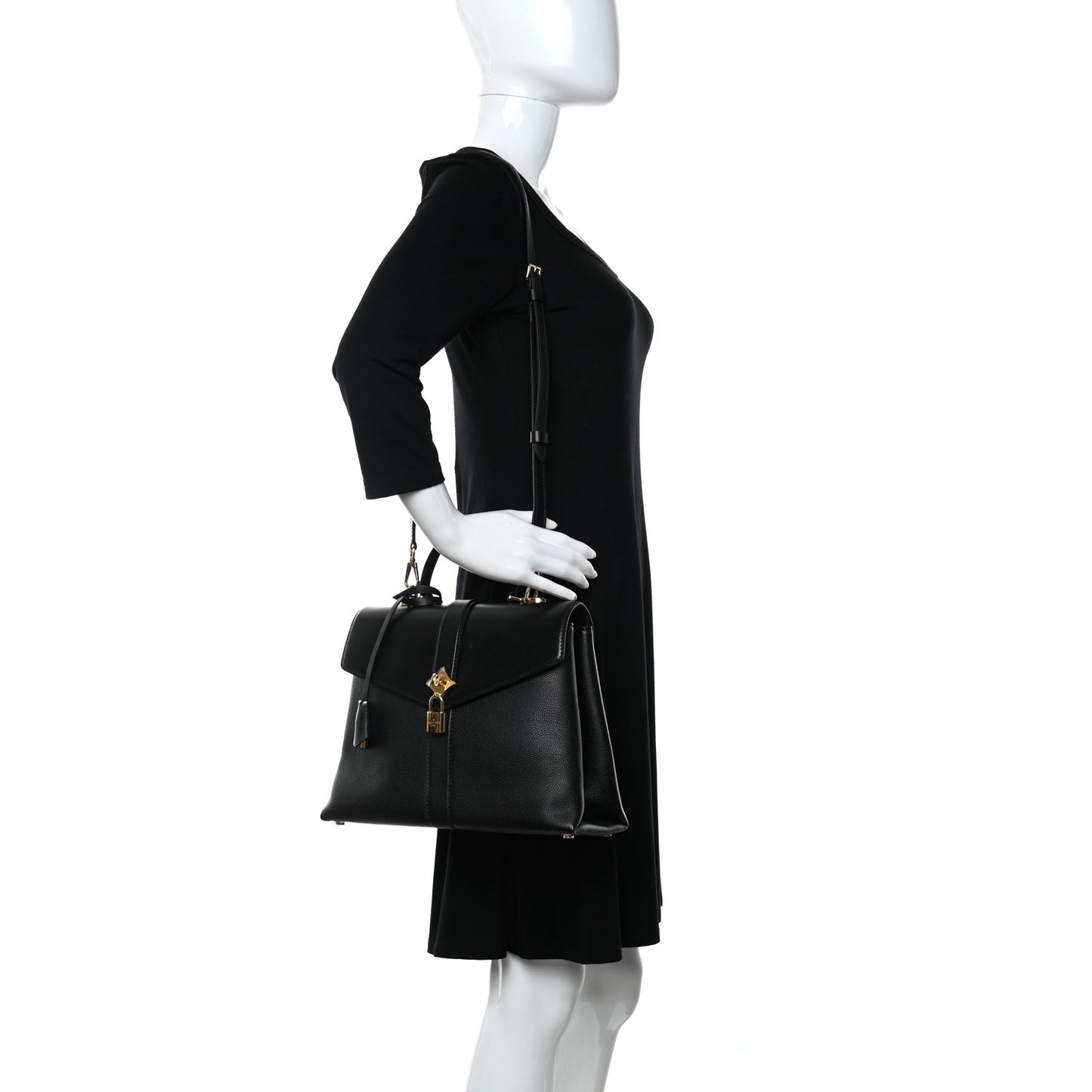 Grained Smooth Calfskin Rose Des Vents MM Black