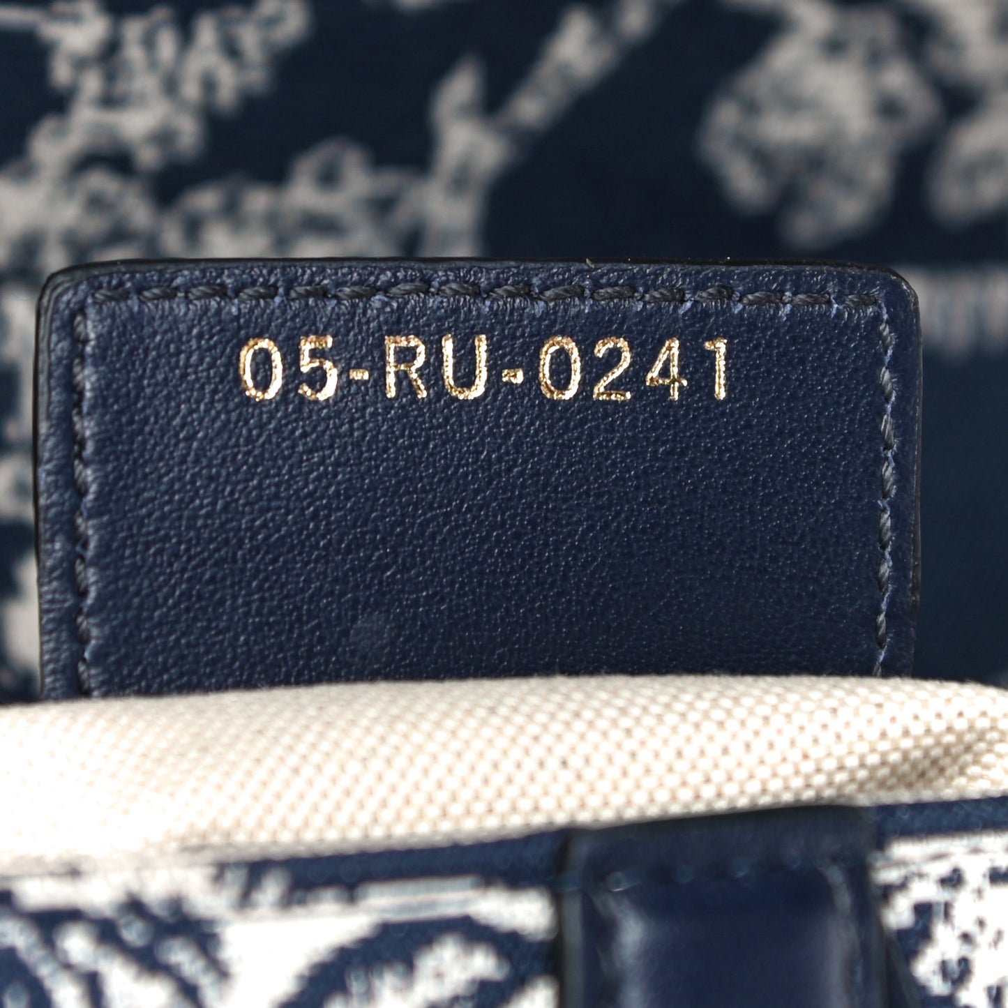 Canvas Embroidered Dioriviera Saddle Bag Blue