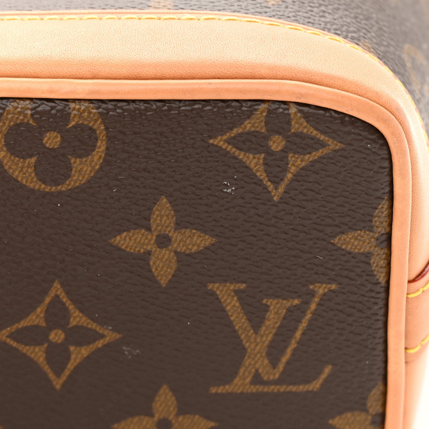 Monogram Nano Noe NV