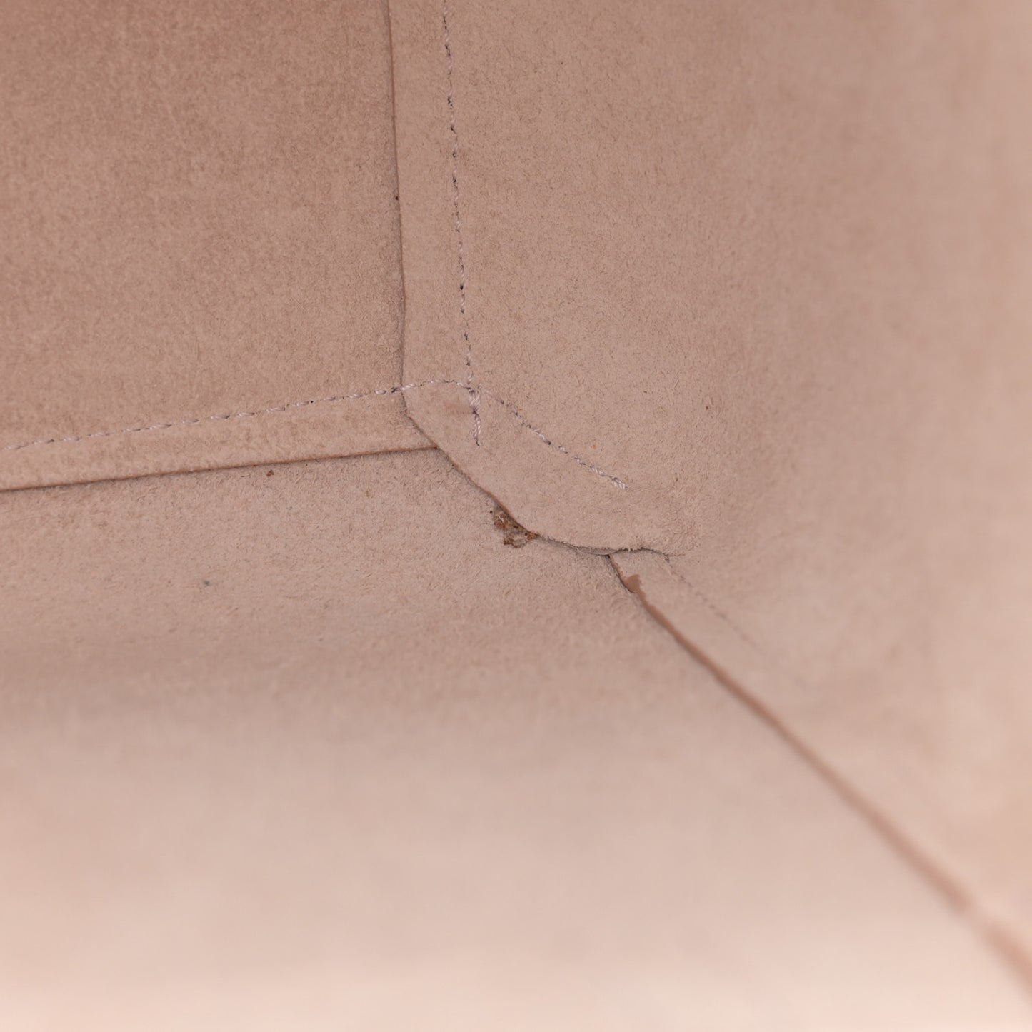 Grained Calfskin Nano Belt Bag Pale Pink