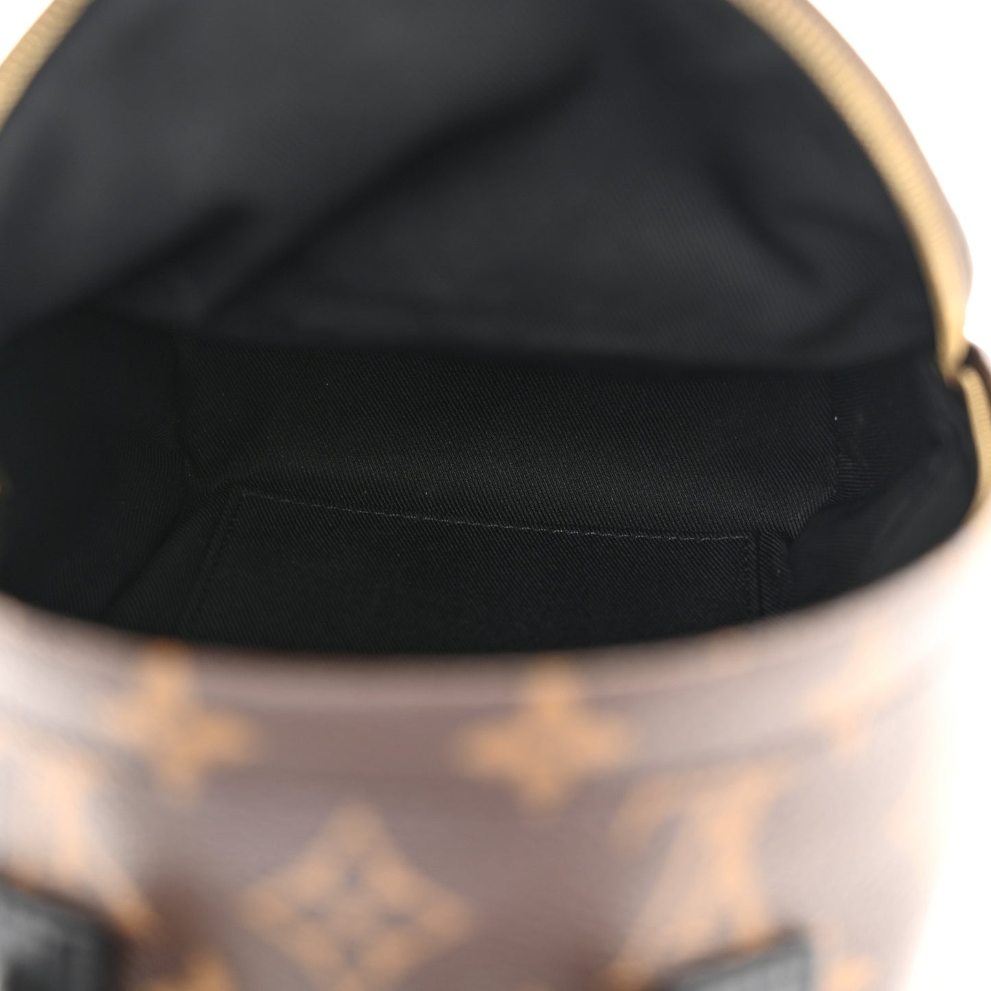 Monogram Palm Springs Backpack Mini