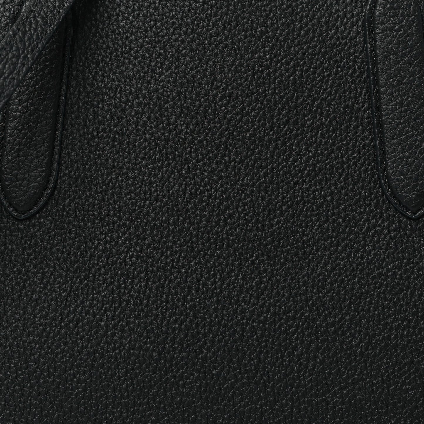 Grained Calfskin Medium Sesia Black