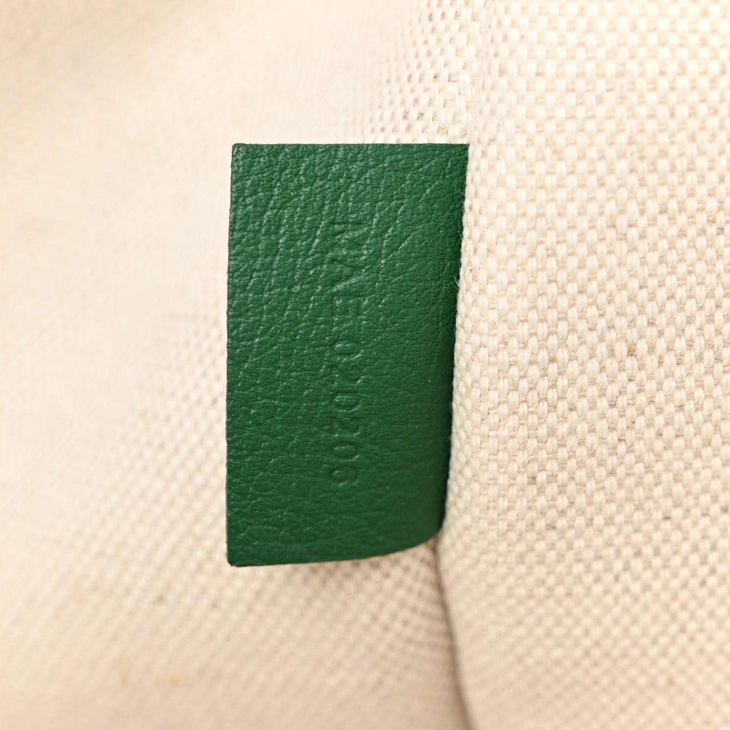 Goyardine Villette Tote Green