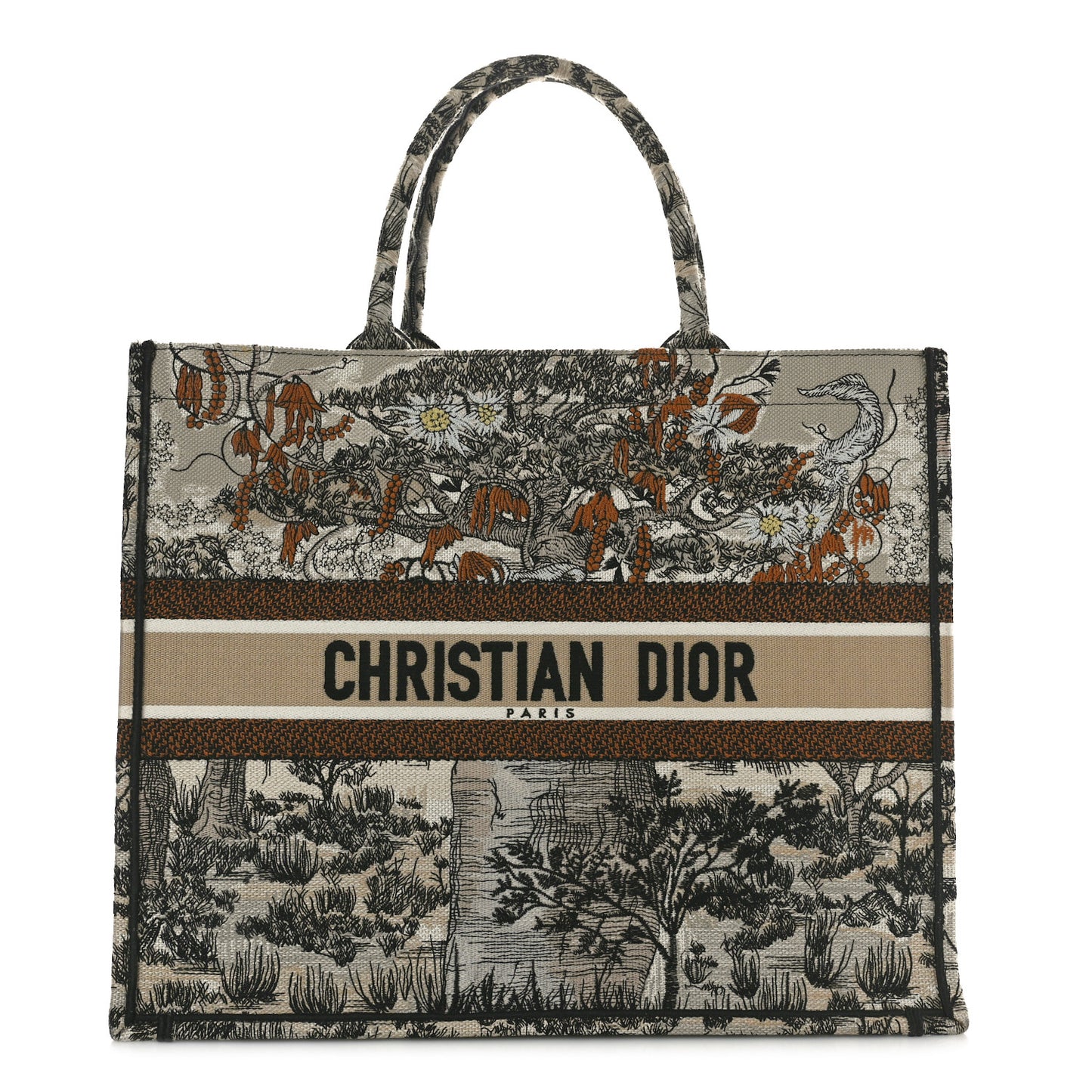 Canvas Embroidered Large Desert Printed Book Tote Beige Multicolor