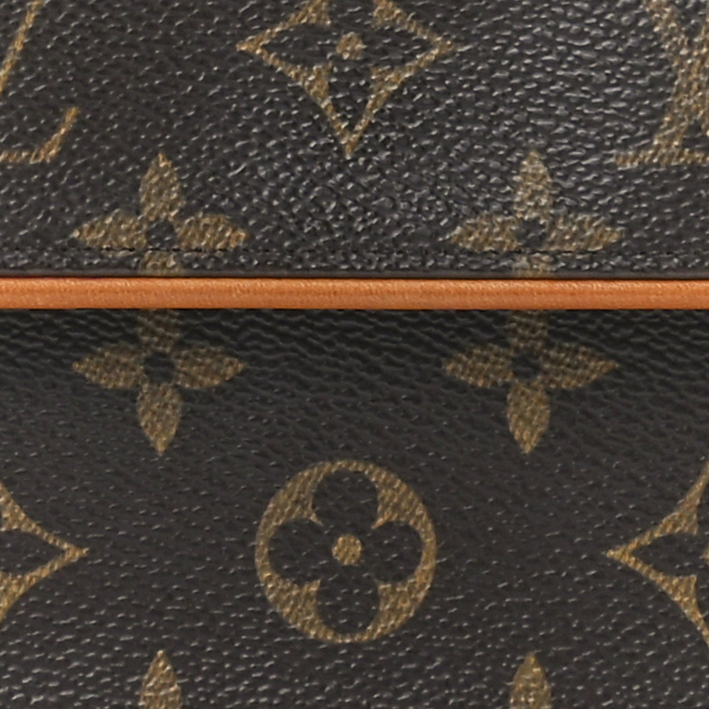 Monogram Pochette Florentine S
