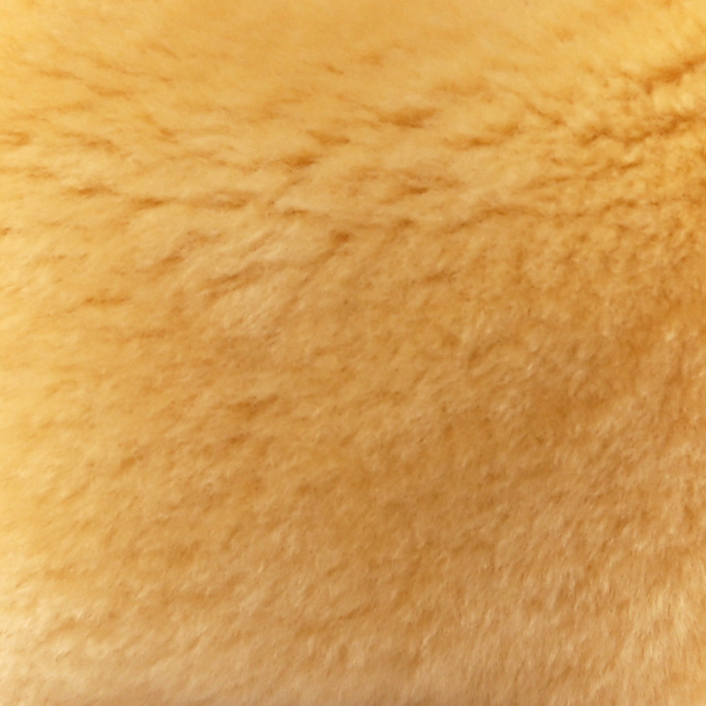 Shearling Lambskin Mini Jodie Teddy