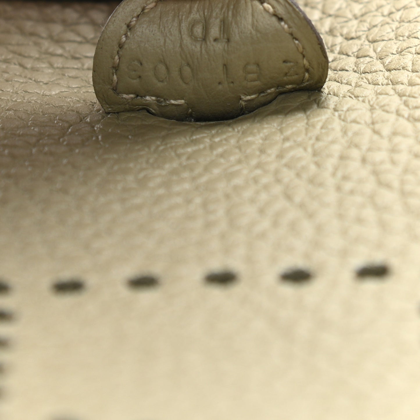 Taurillon Clemence Evelyne TPM Sauge