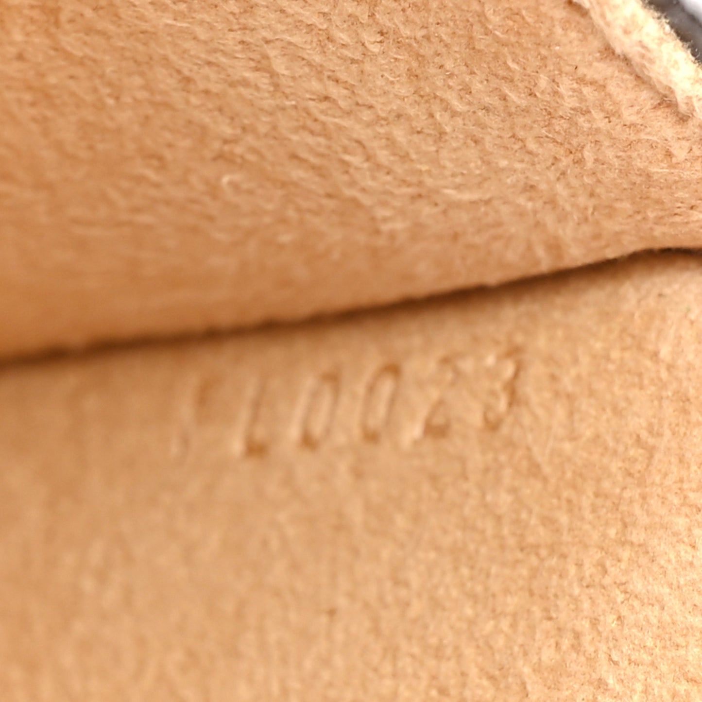 Monogram Pochette Florentine XS