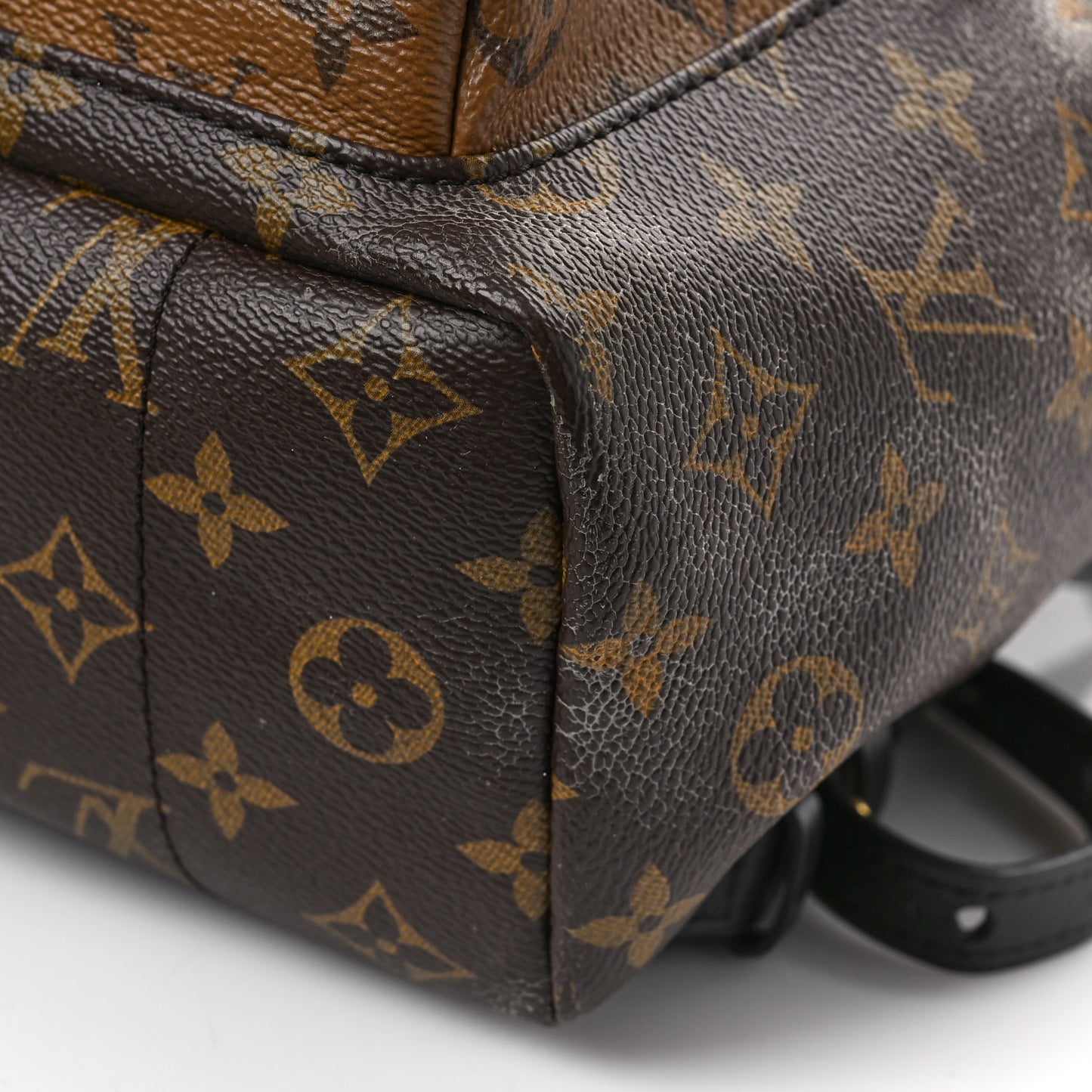 Reverse Monogram Palm Springs Backpack PM