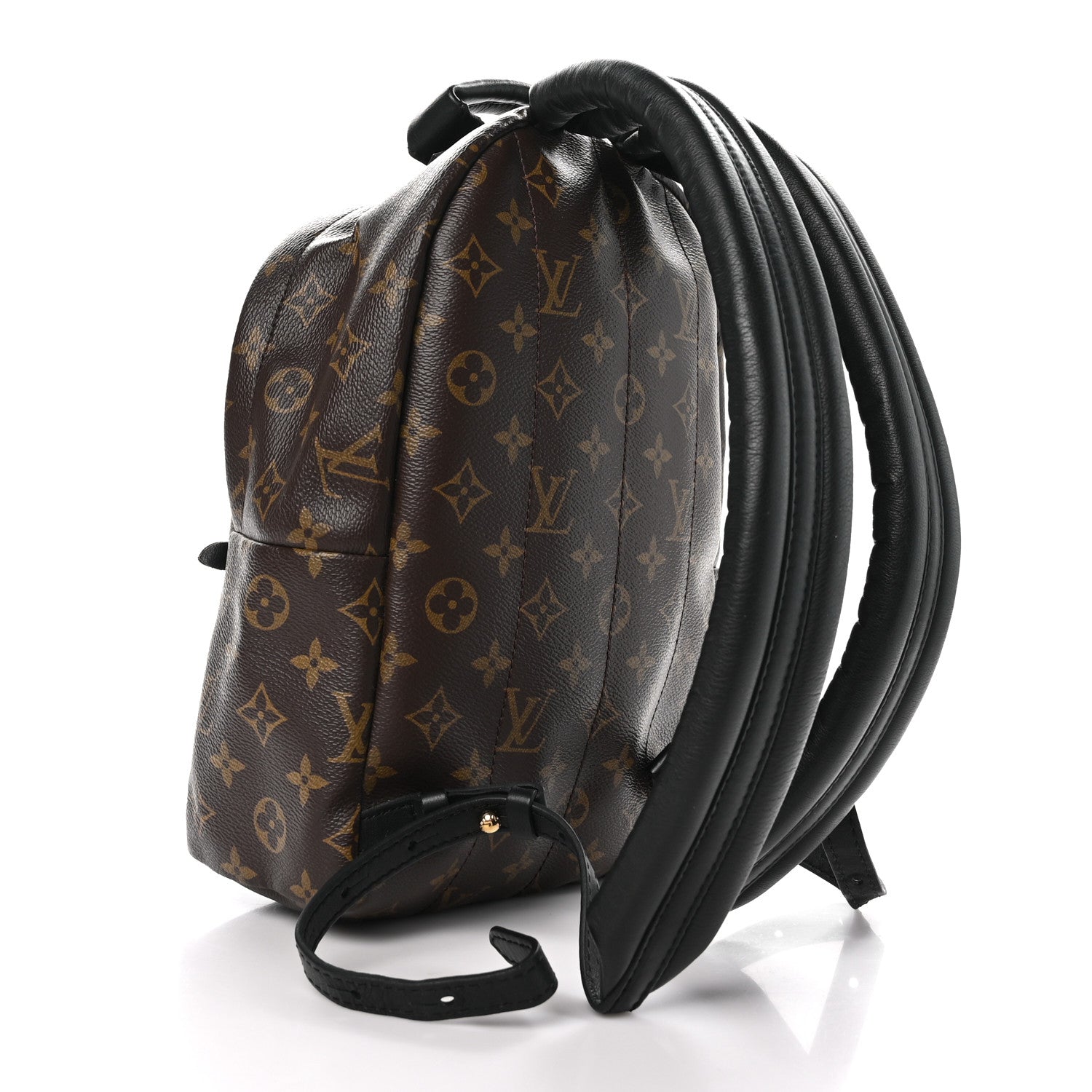 Louis Vuitton Monogram Palm Springs Backpack PM 3 of 11