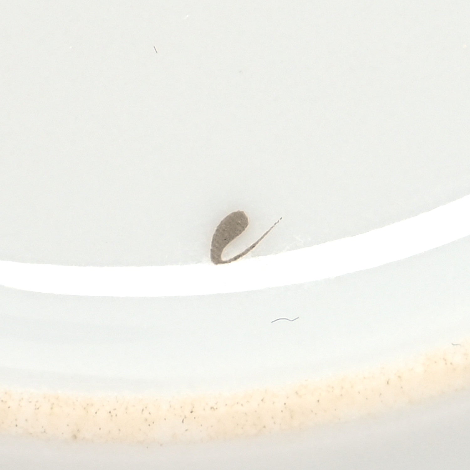 Hermes Porcelain Platinum Chaine d'Ancre Tea Cup and Saucer Set of 2 12 of 14