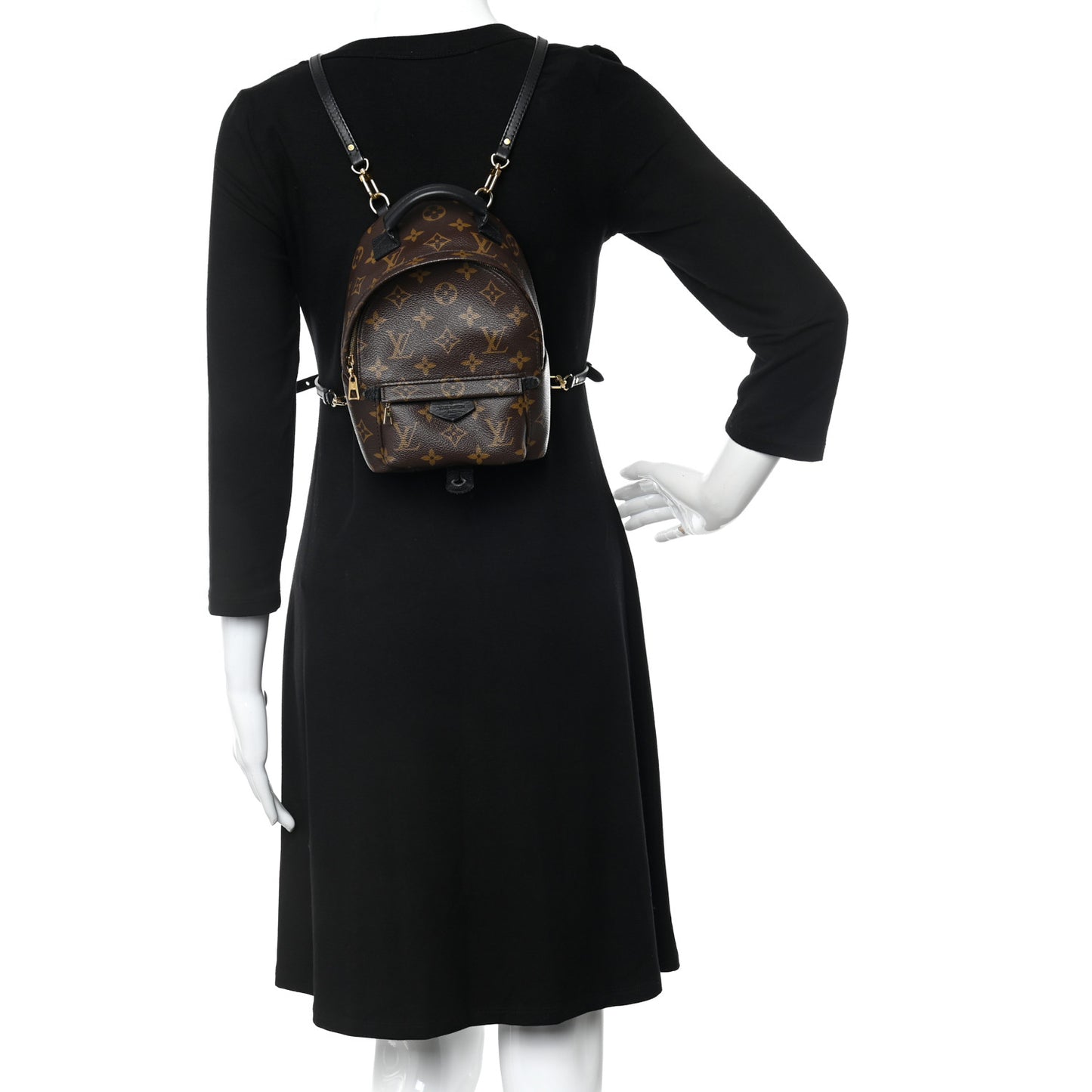 Monogram Palm Springs Backpack Mini