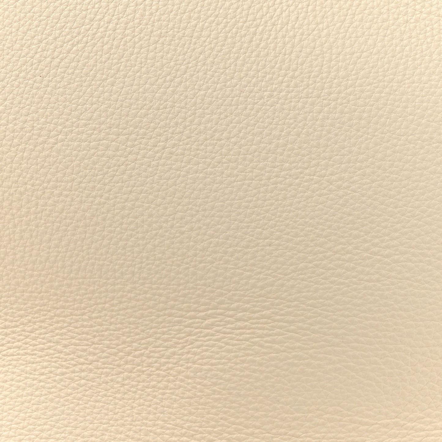 Grained Calfskin Large N/S Park Tote Ivory