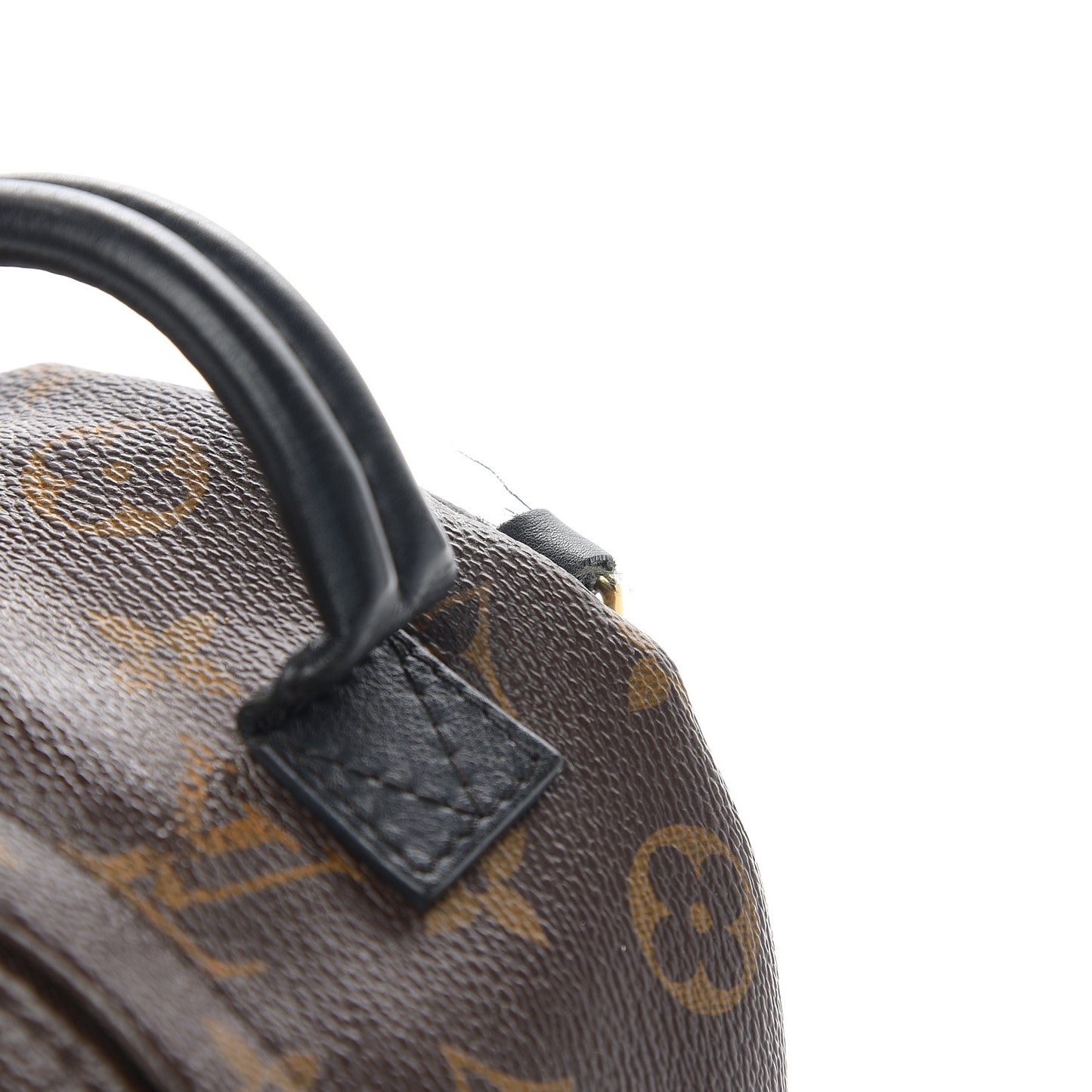 Monogram Palm Springs Backpack Mini