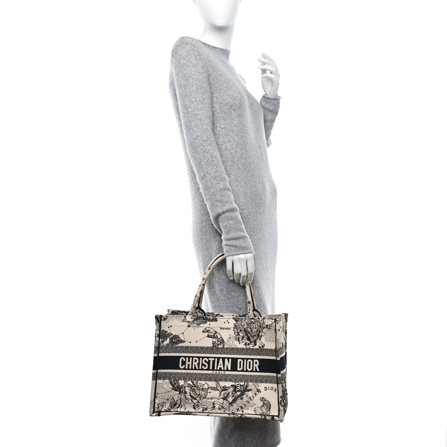 Canvas Embroidered Small Zodiac Toile De Jouy Book Tote Latte