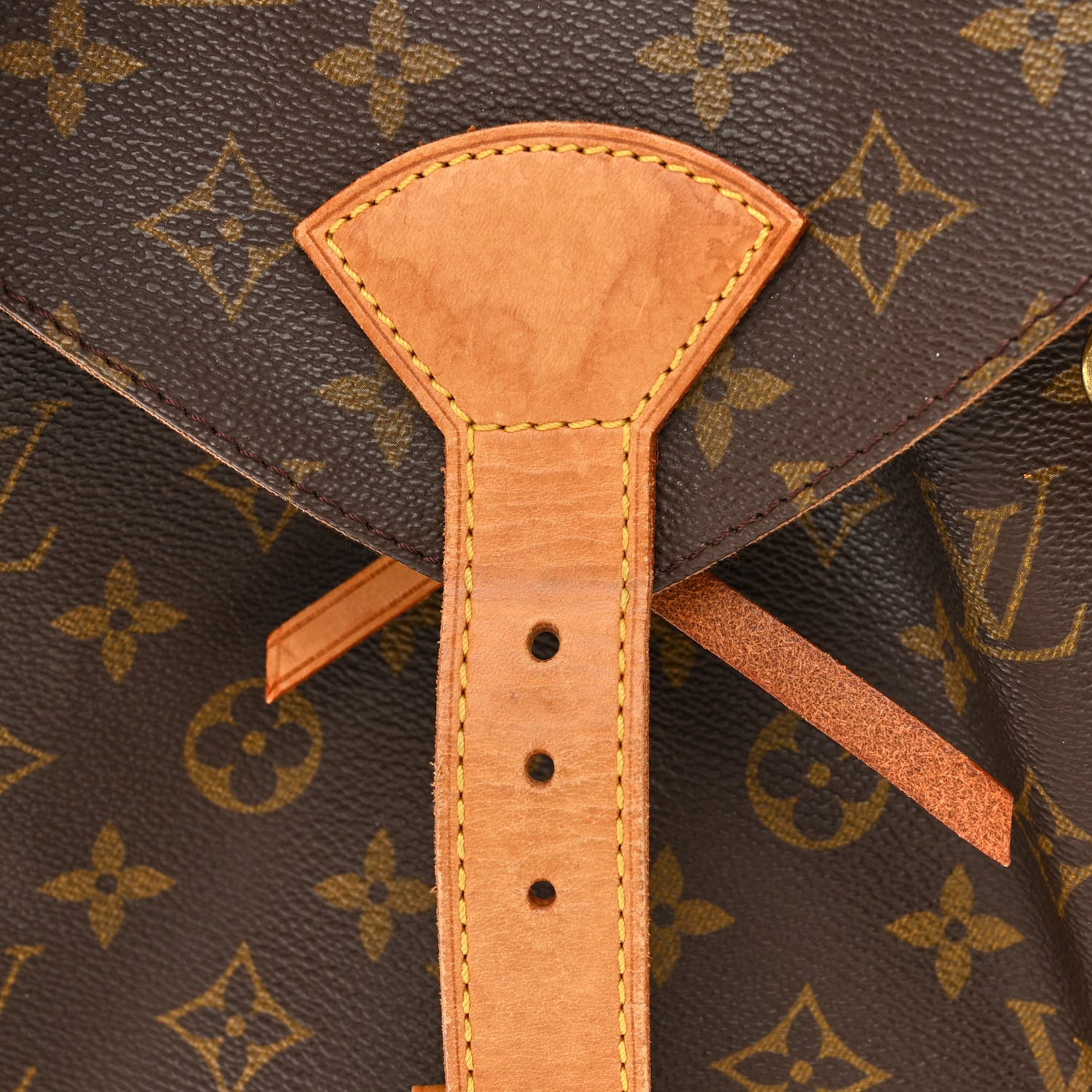 Monogram Montsouris GM Backpack