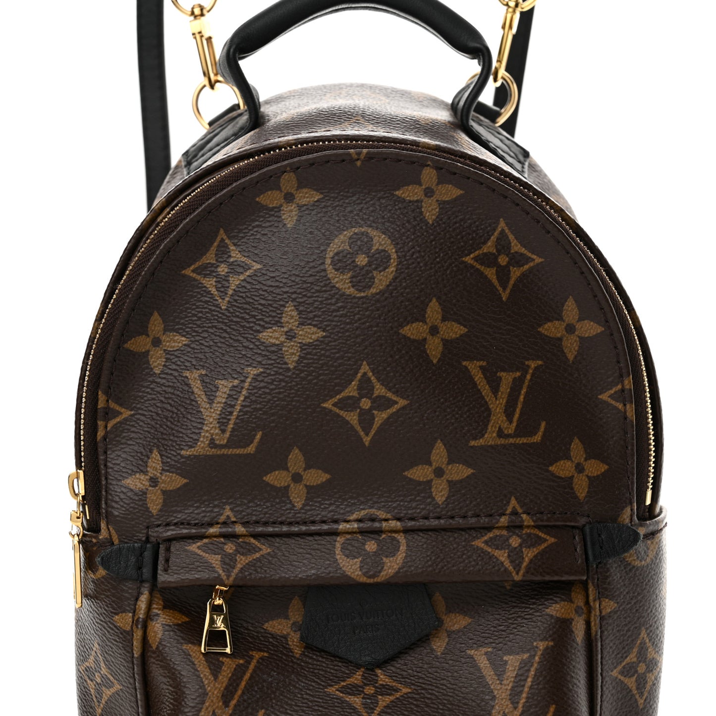 Monogram Palm Springs Backpack Mini